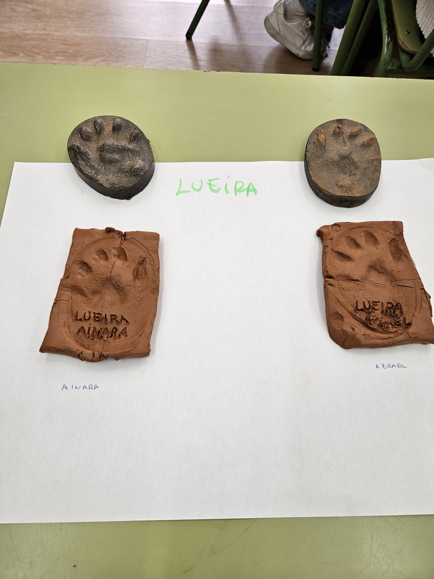 aff37a92-e479-47f1-8c54-678f3e94eb44