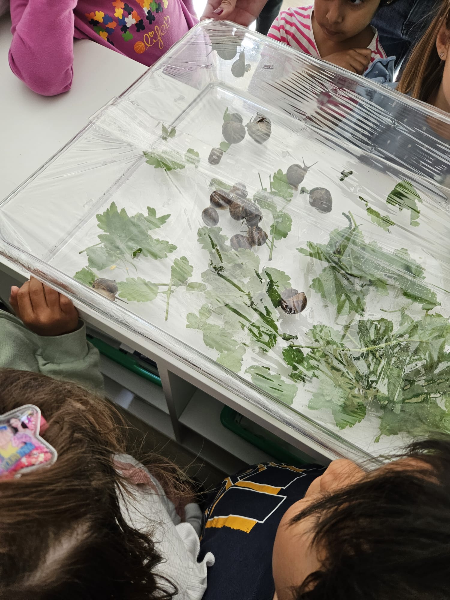 00b0b0c4-24f6-4e1c-bbc8-6fa3891cf9c1