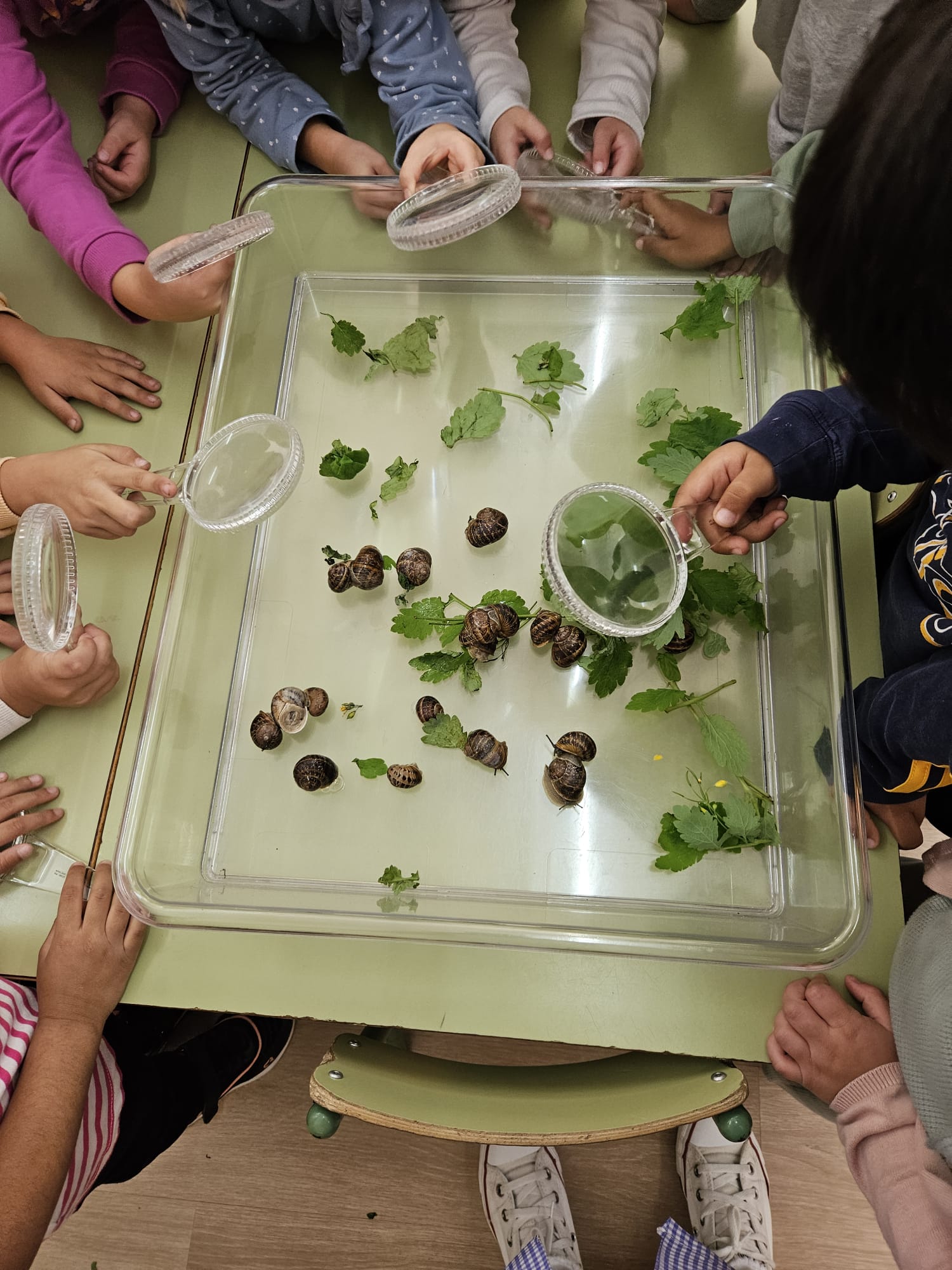 493b873d-7a38-4b43-9dce-5b3e08c542f4