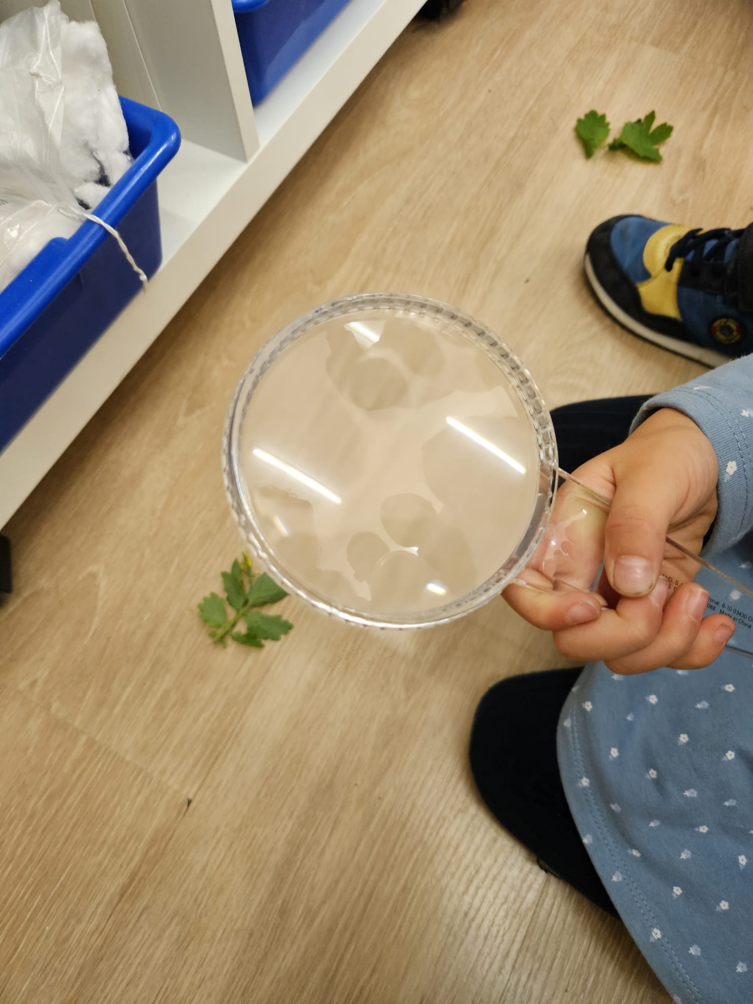 6a2dc3ae-04f6-4026-b04d-c4a77492e676