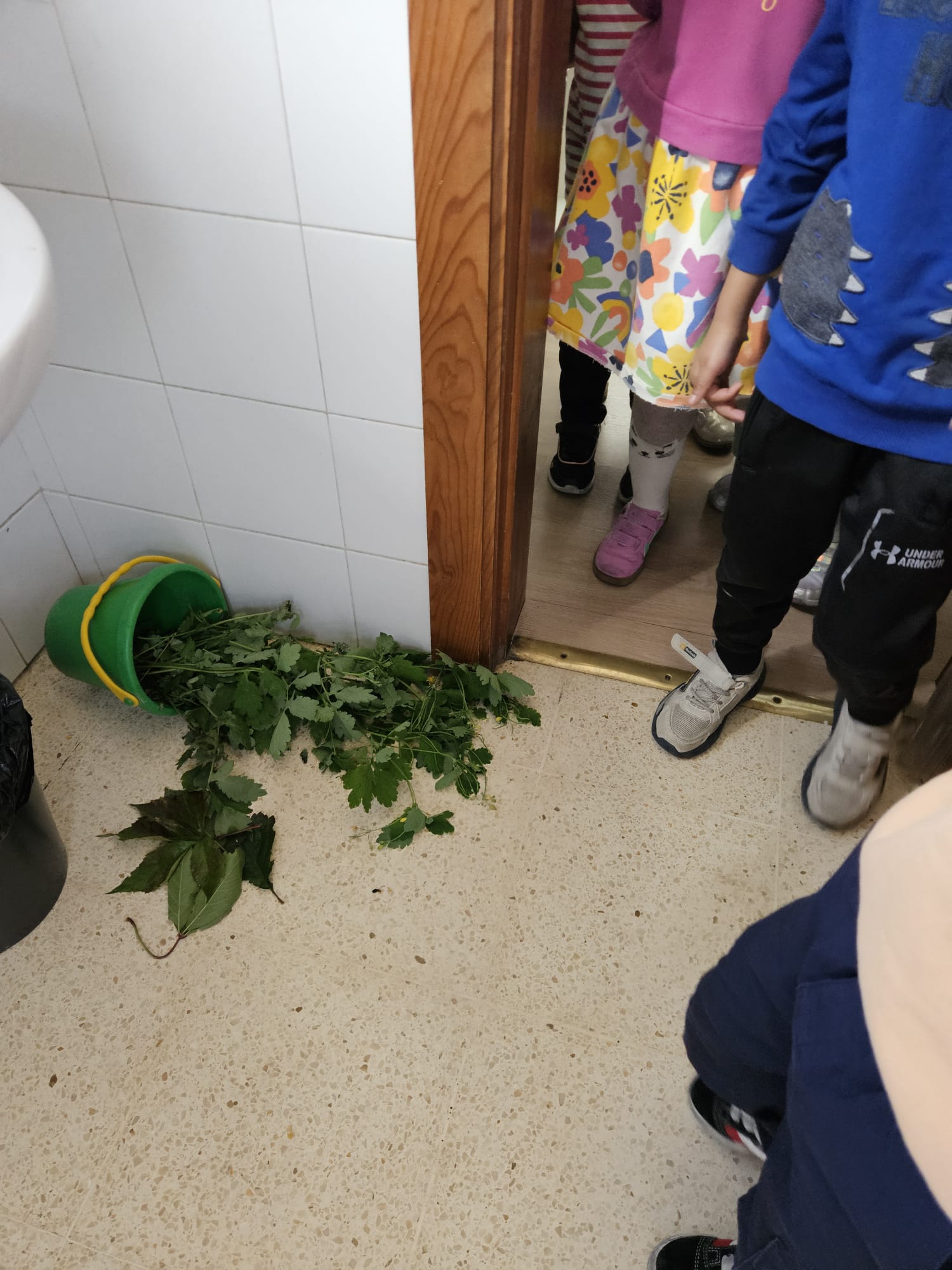 abdae20c-7916-4b50-a532-5592ba11da7d