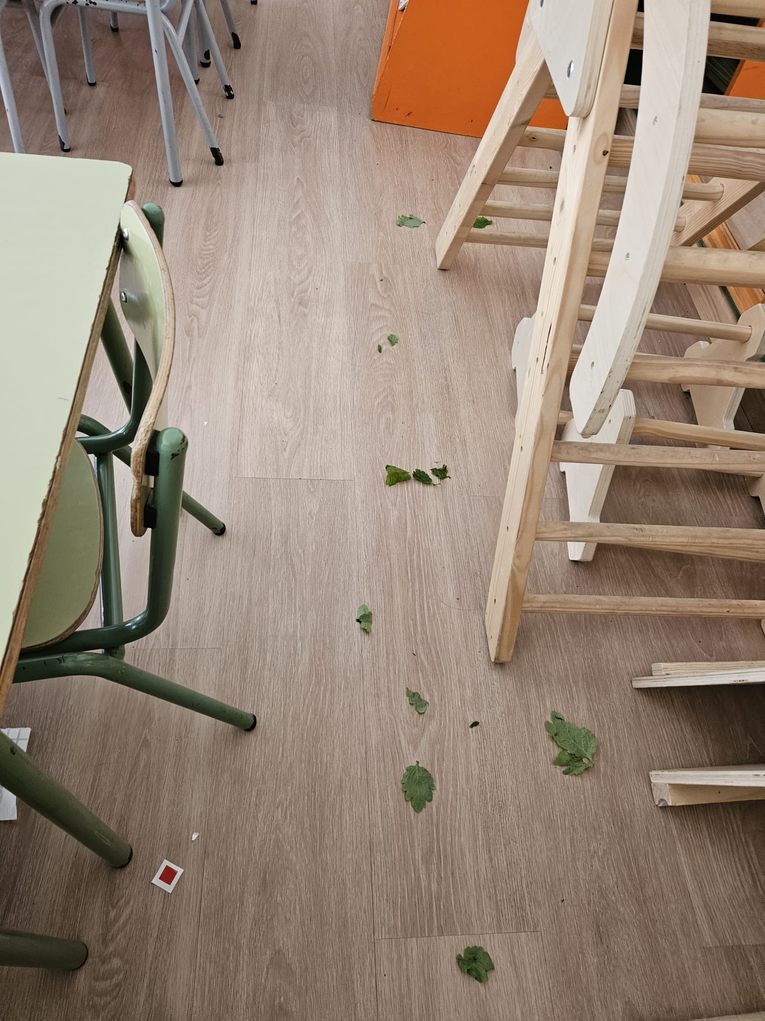 b11c05bf-67b9-49ac-ae9f-a054d8ddfa9e