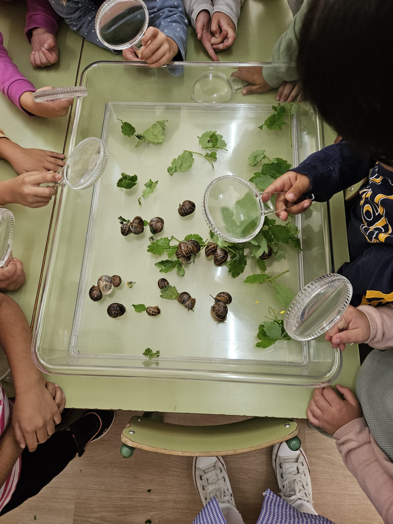 e495bd98-7abc-4d10-89a8-54b787aad0a4