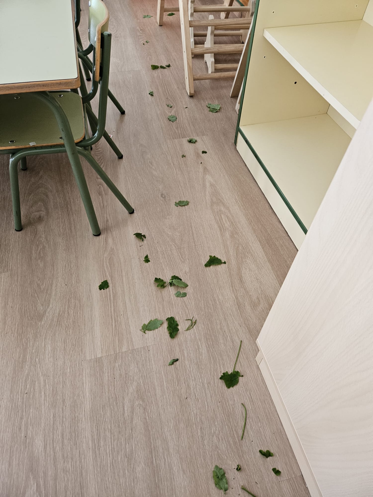 f979601d-db7d-4d09-89da-6472d144d517