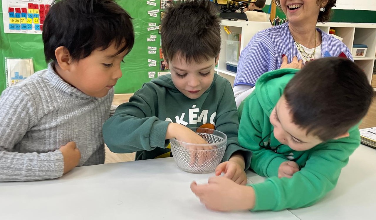 165f9e55-3d78-45fe-985e-a232e2f3a452