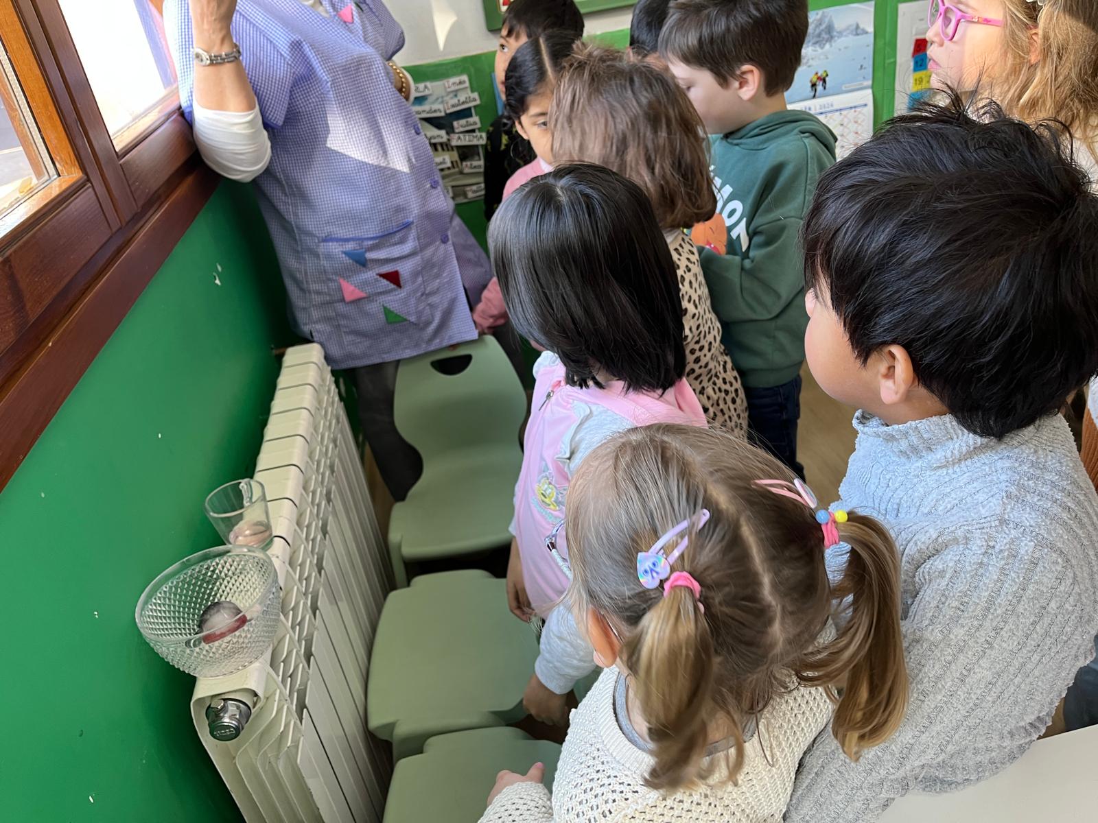 88cae2bb-fcc8-4feb-b17f-5c128dbf334f