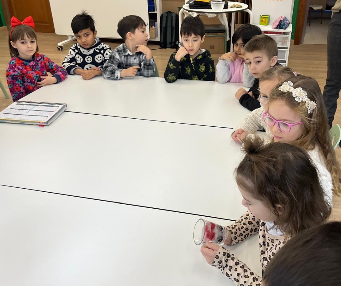 d65367b4-47eb-433e-817b-cf049ed8d744