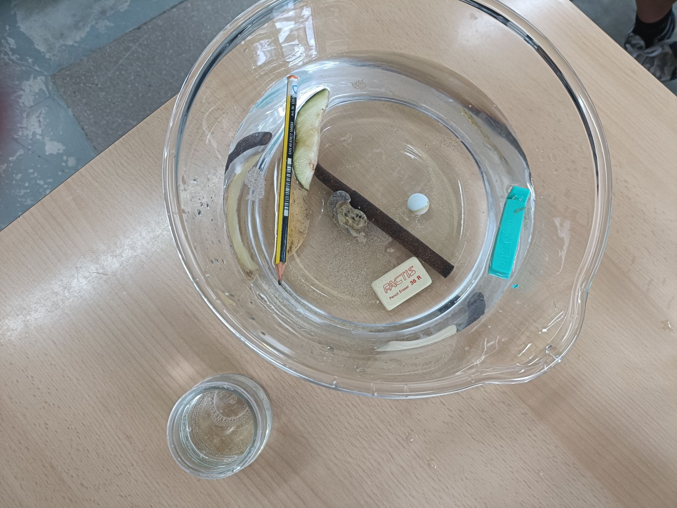 resized_IMG20241007155243