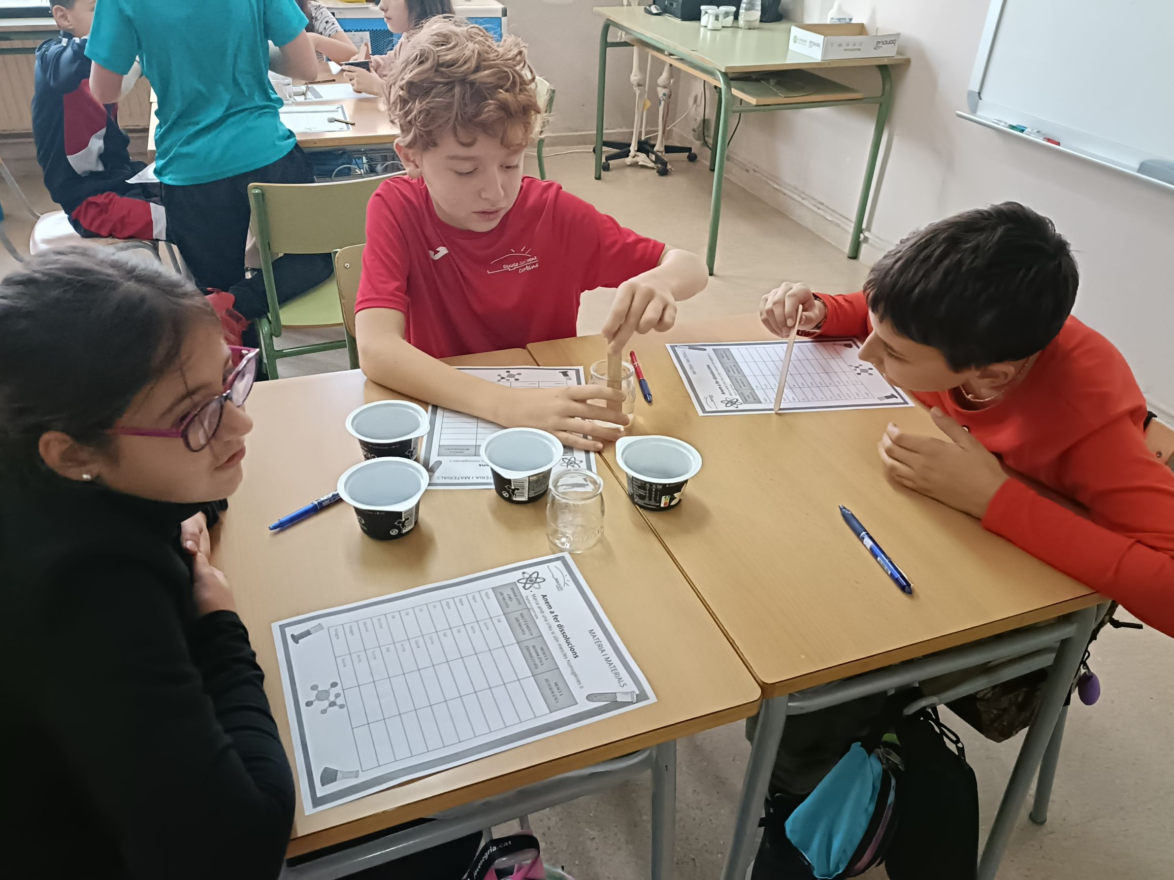 resized_IMG20241114152042