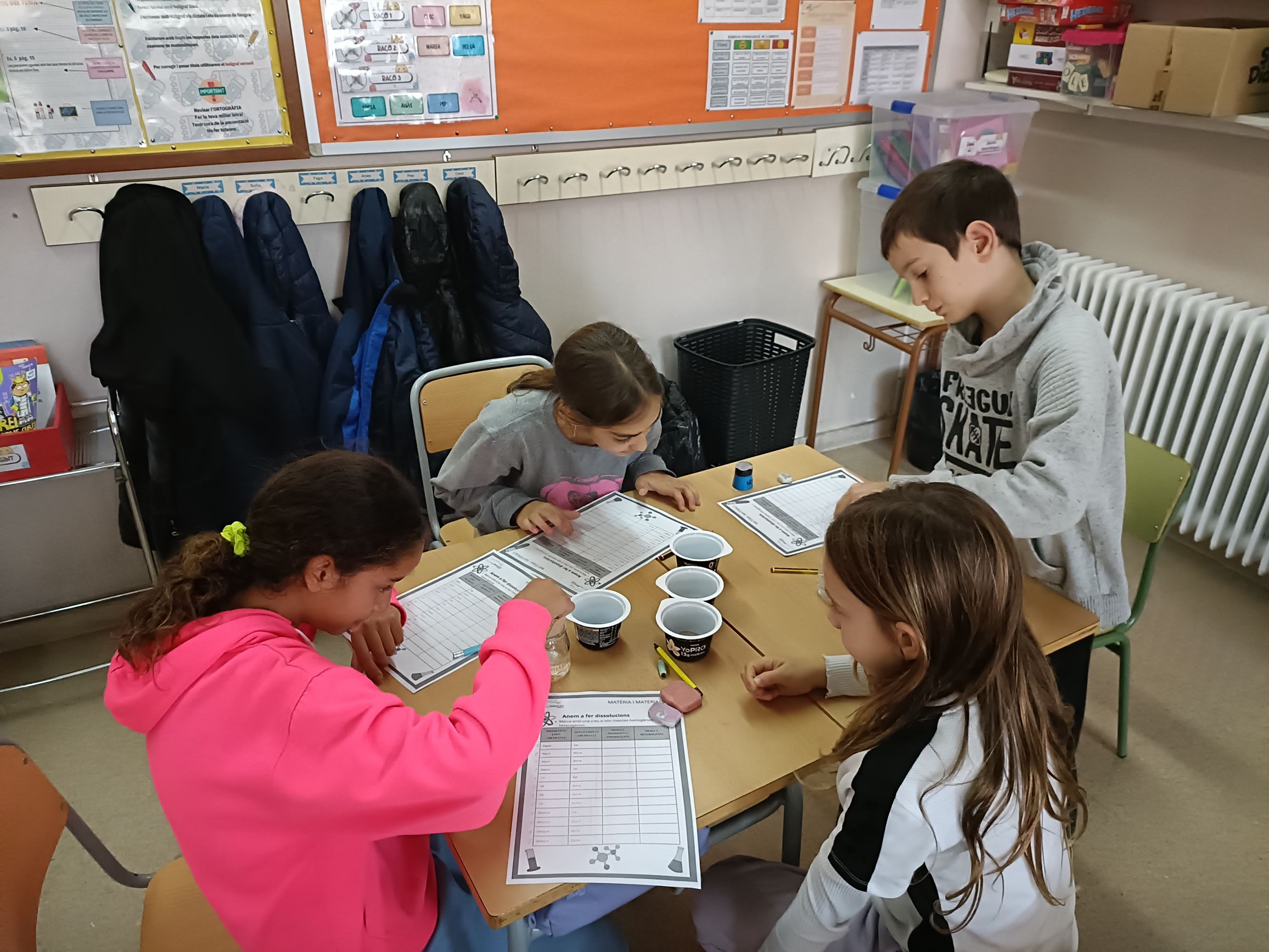 resized_IMG20241114152118