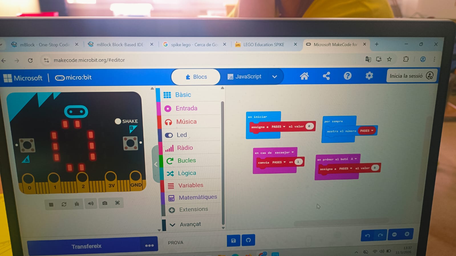 primària (11)
