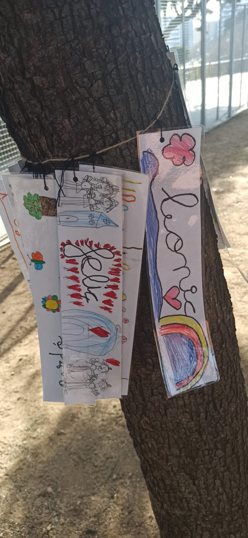 WhatsApp Image 2021-01-27 at 15.06.44 (1)