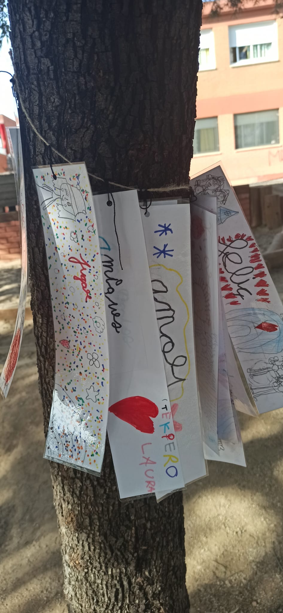 WhatsApp Image 2021-01-27 at 15.06.44 (2)