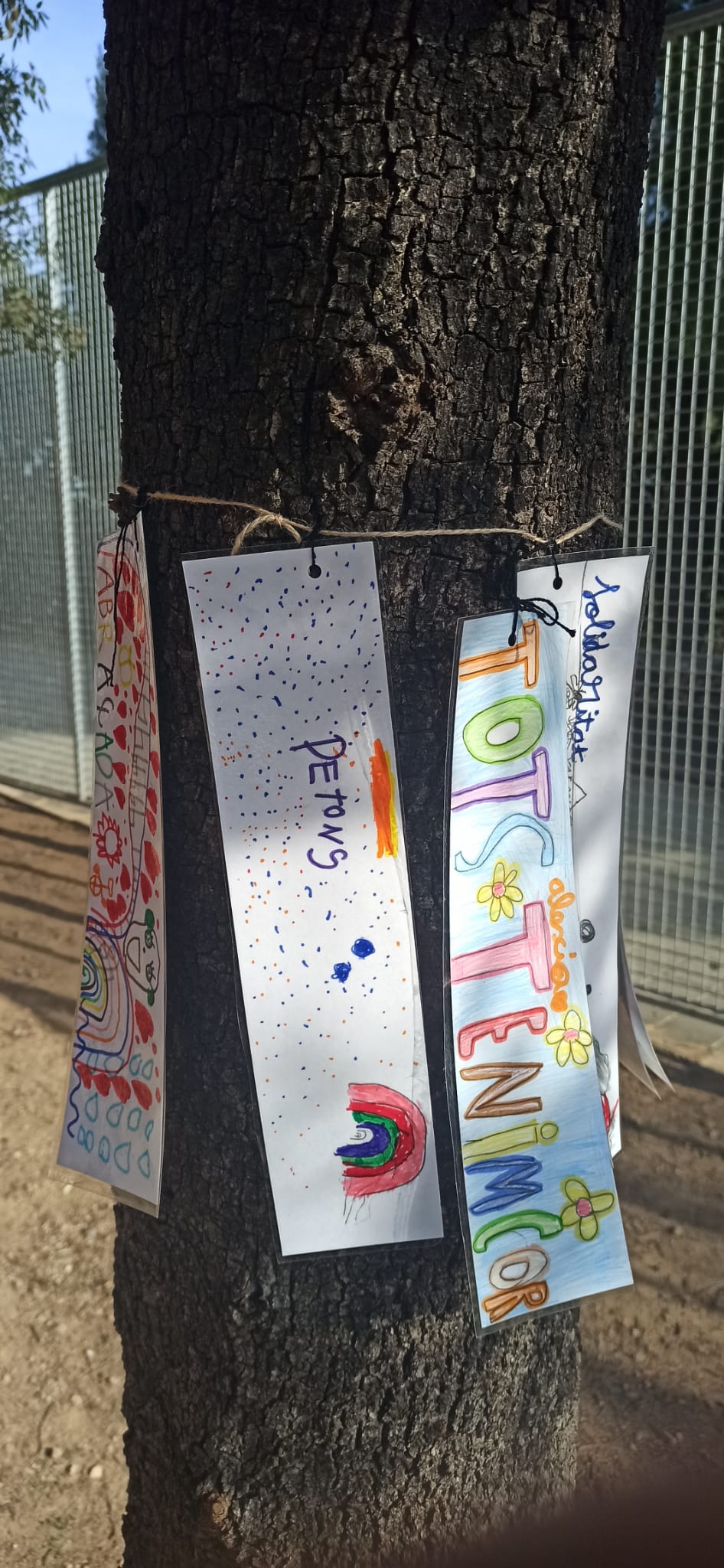 WhatsApp Image 2021-01-27 at 15.06.44 (4)