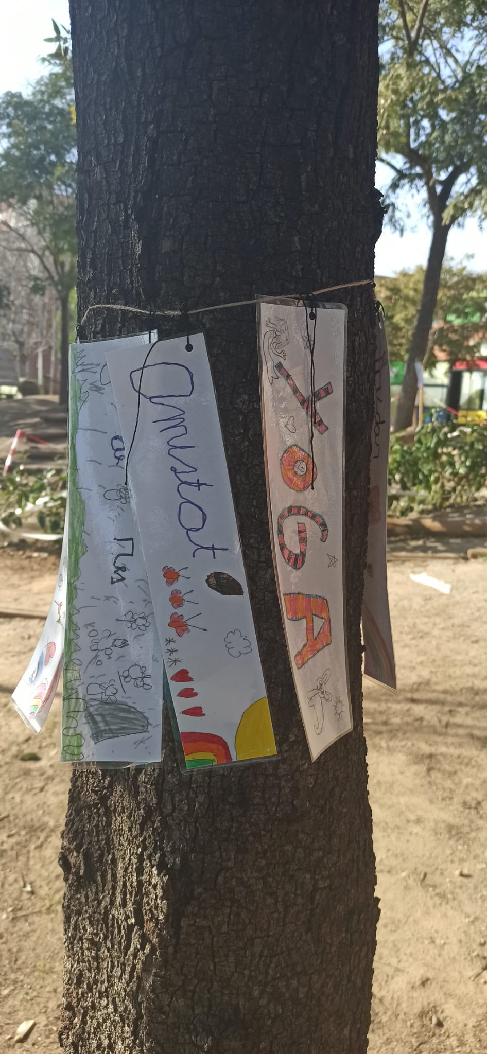 WhatsApp Image 2021-01-27 at 15.06.44 (5)