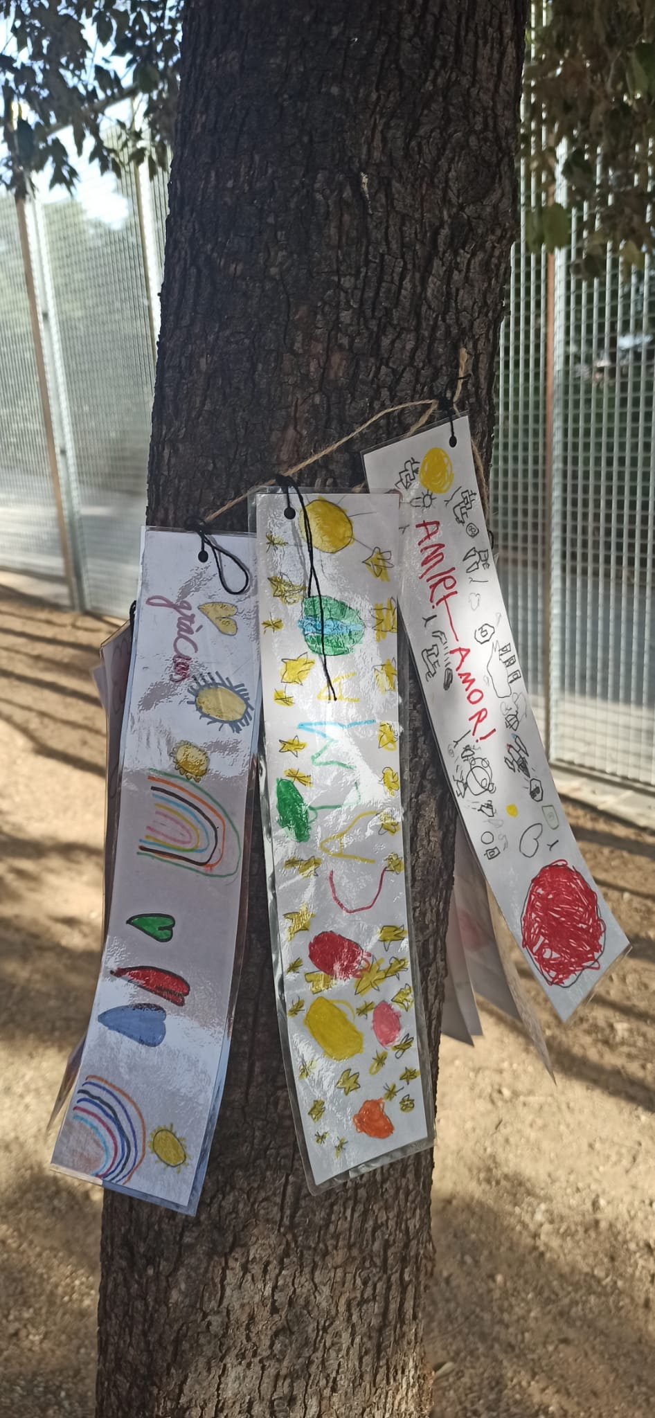 WhatsApp Image 2021-01-27 at 15.06.44