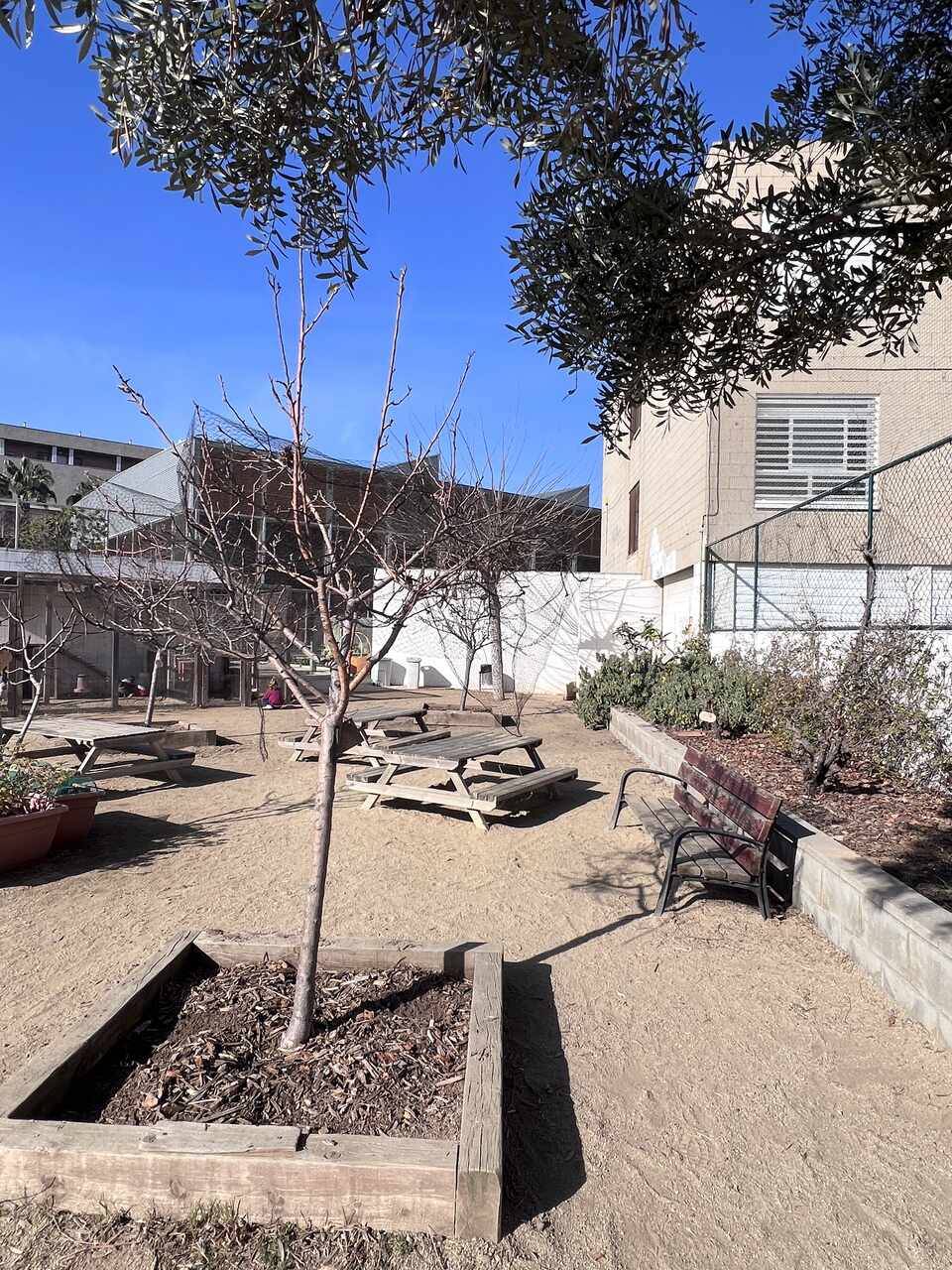 IMG_4433_Easy-Resize.com (1)