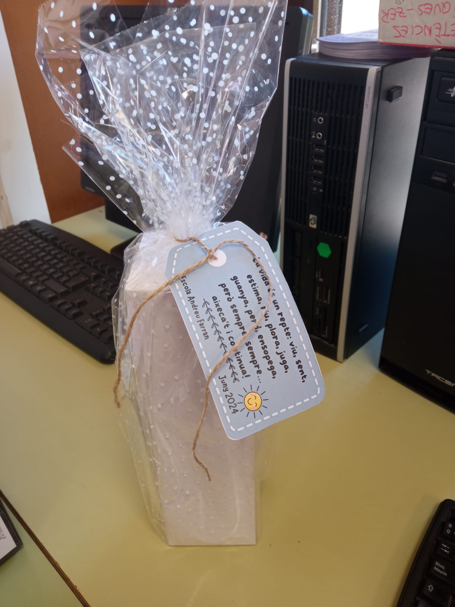 WhatsApp Image 2024-06-21 at 13.07.24 (1)