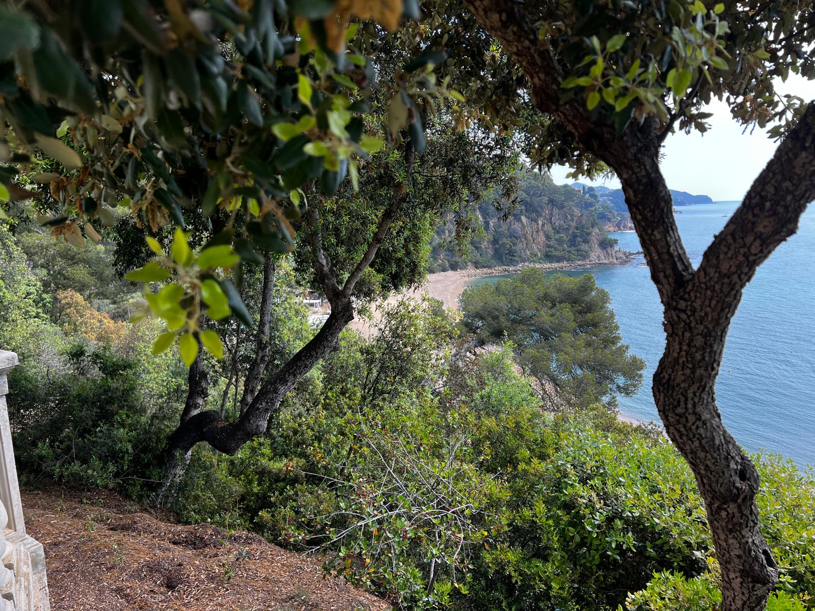 WhatsApp Image 2025-05-26 at 19.11.48 (17)