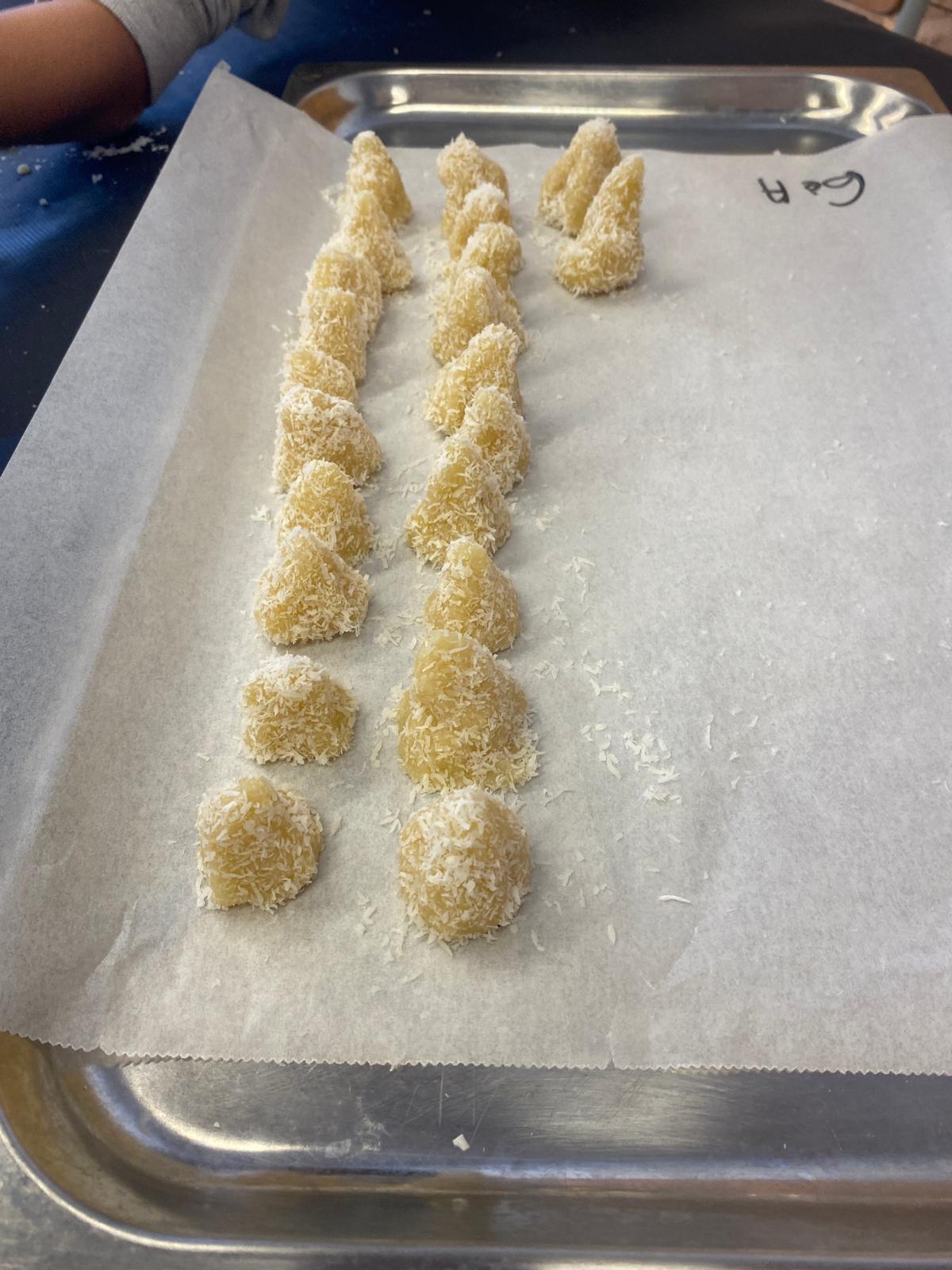 WhatsApp Image 2025-10-31 at 11.50.36 (1)