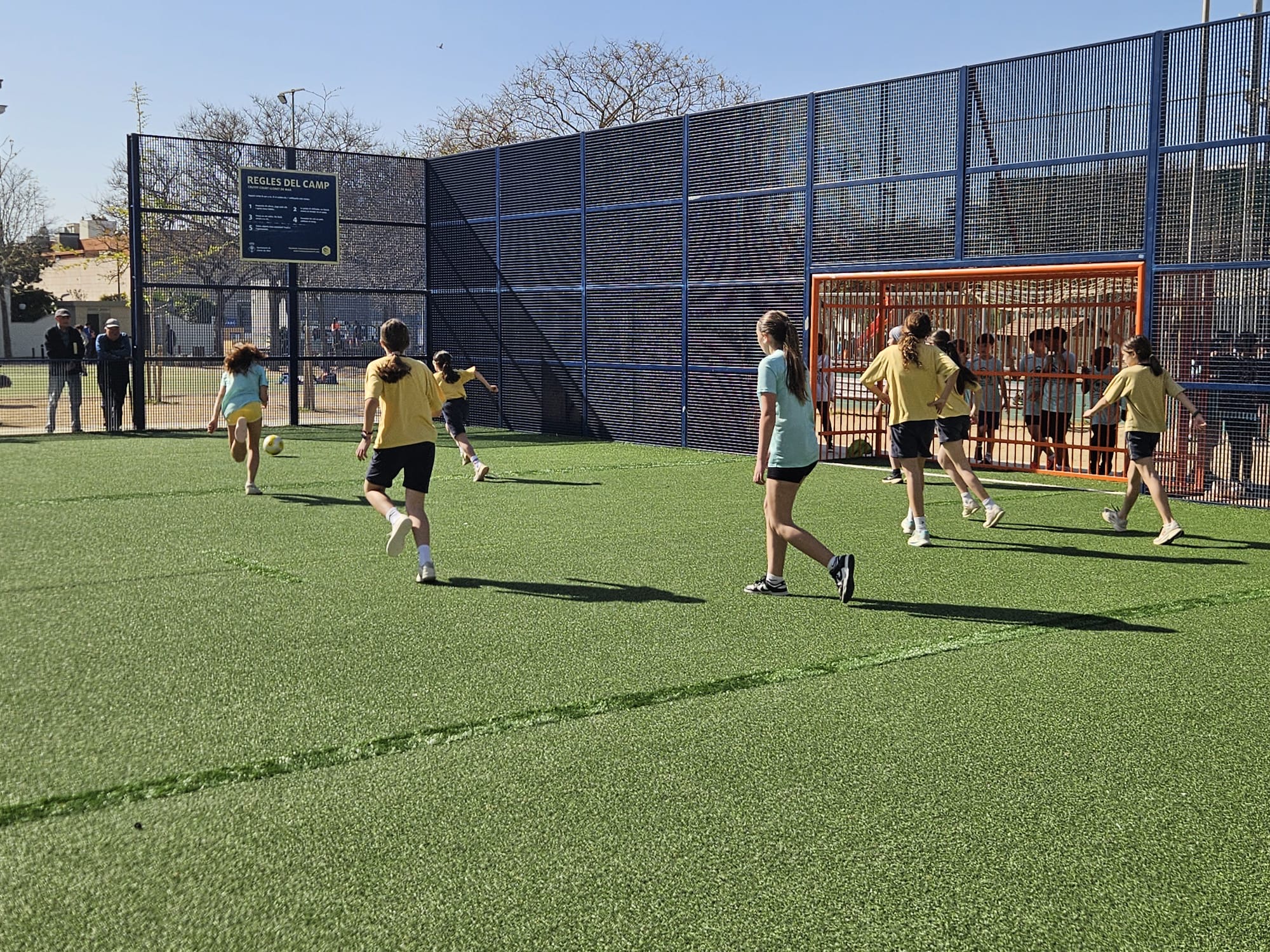 56aa1455-cd62-4381-bcb2-427a6a6e173e