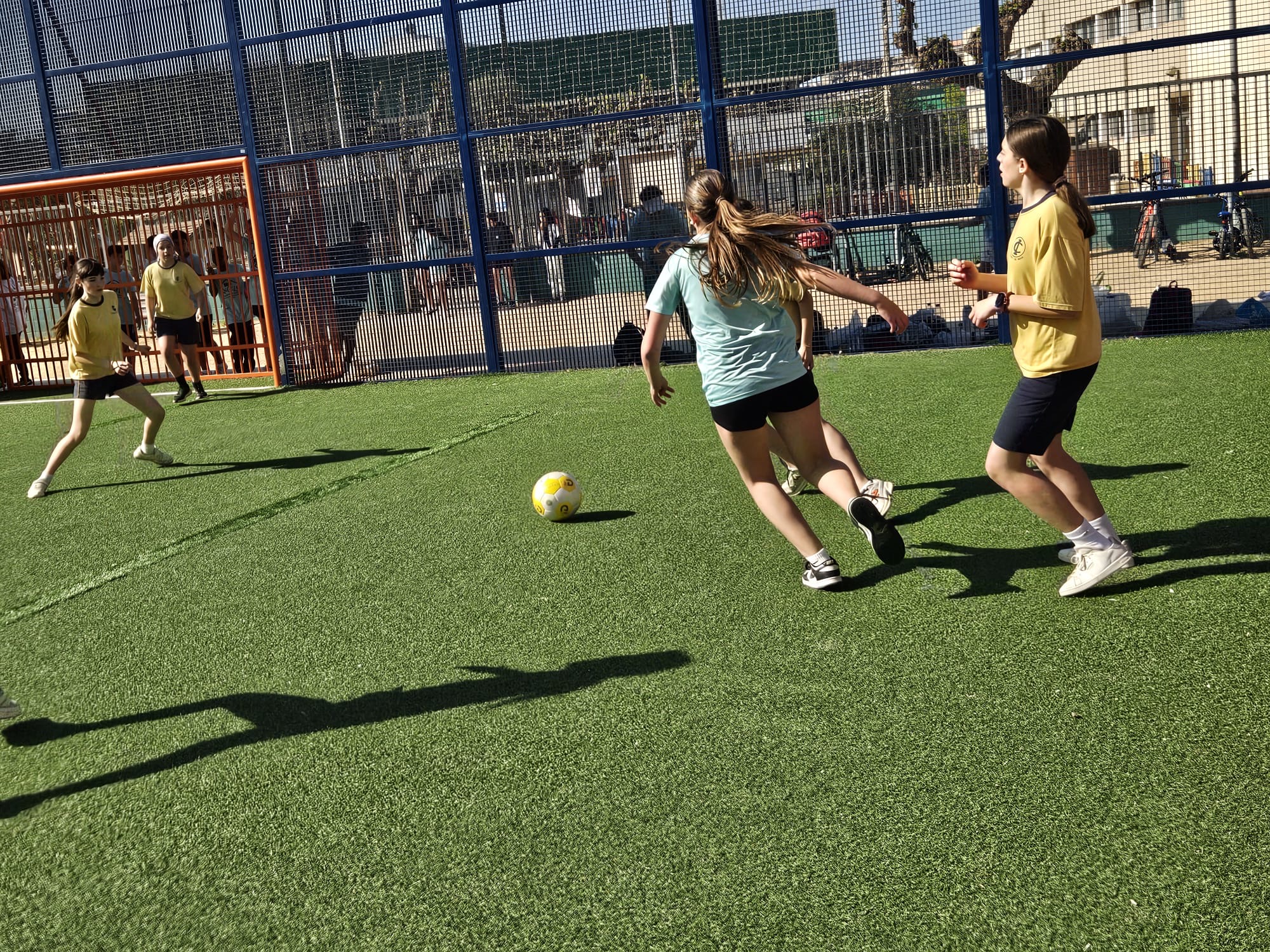 a1c4dff7-a19f-4d7c-b5c7-478629c8fe37