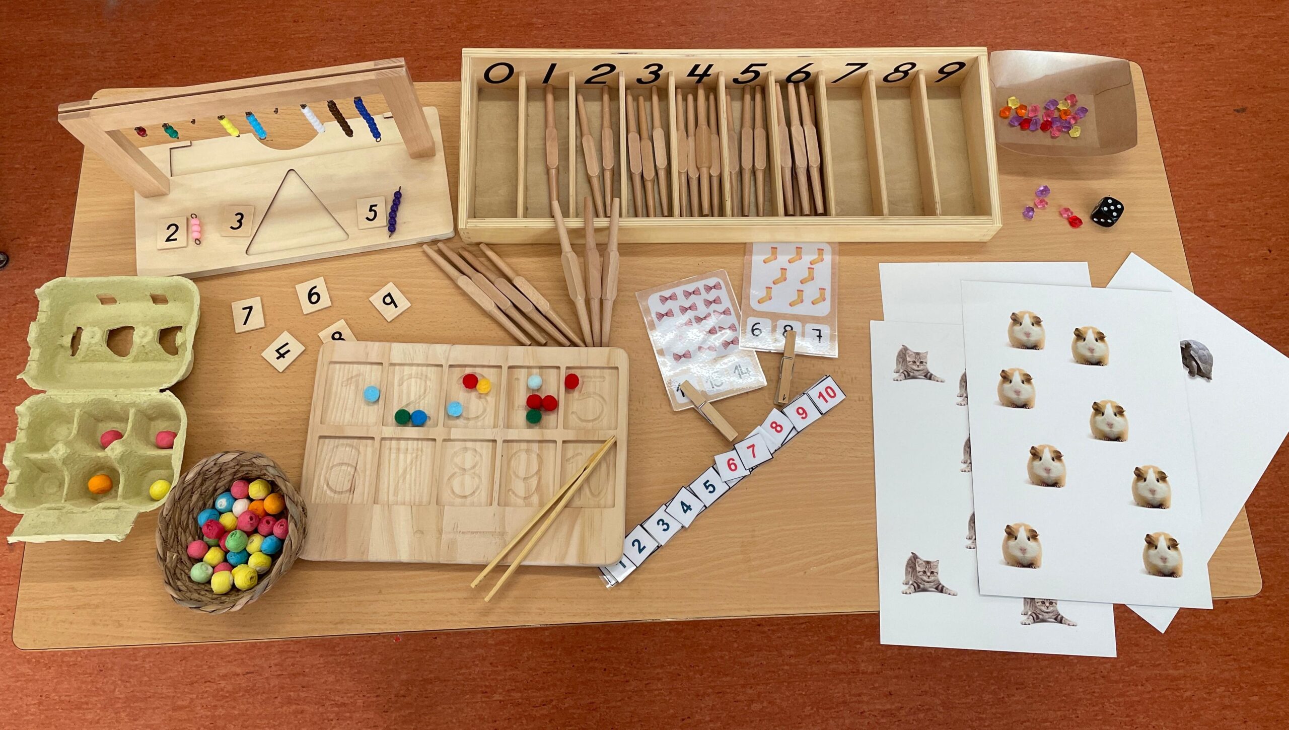 Entendre la vida amb les matemàtiques