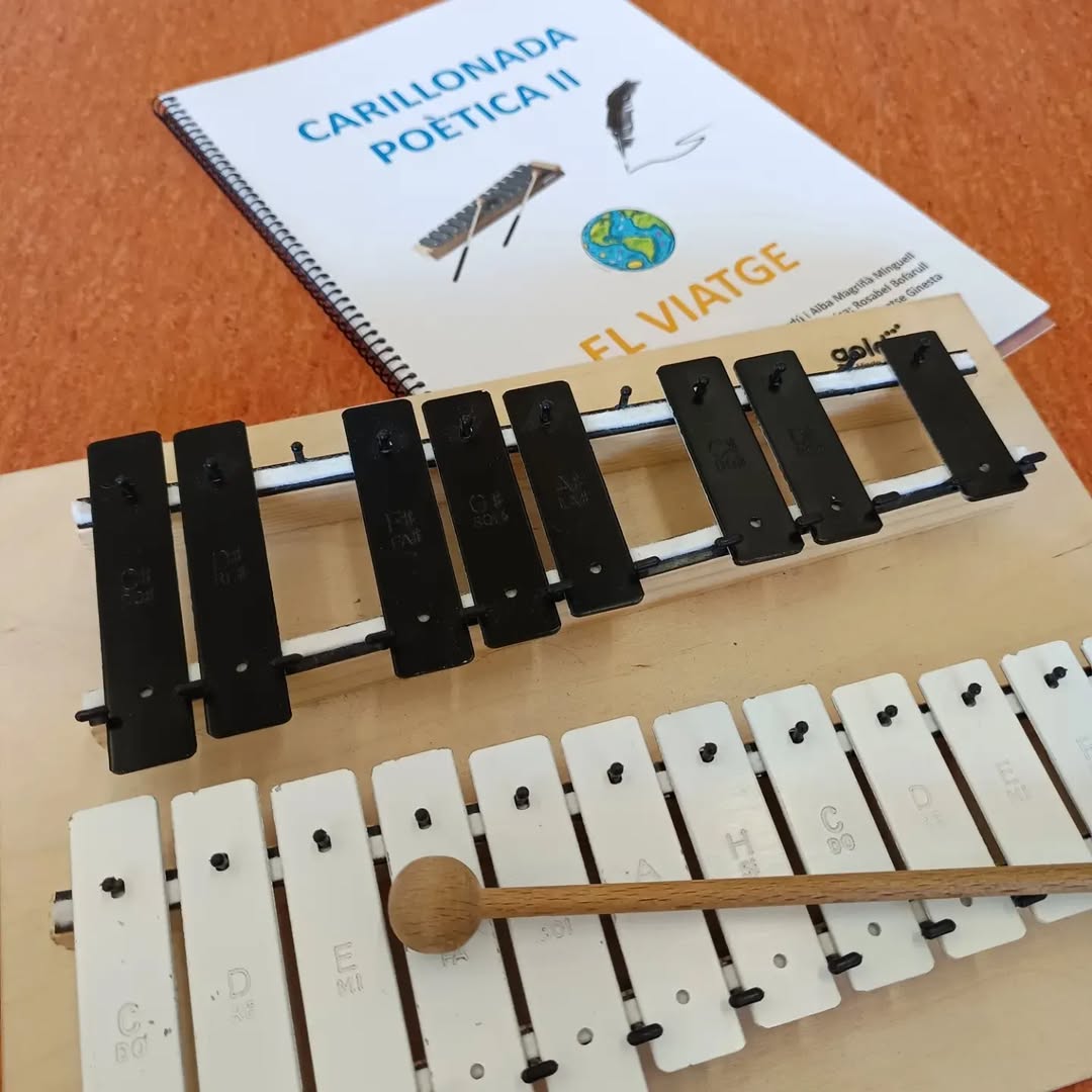 Projectes d'Educació Musical