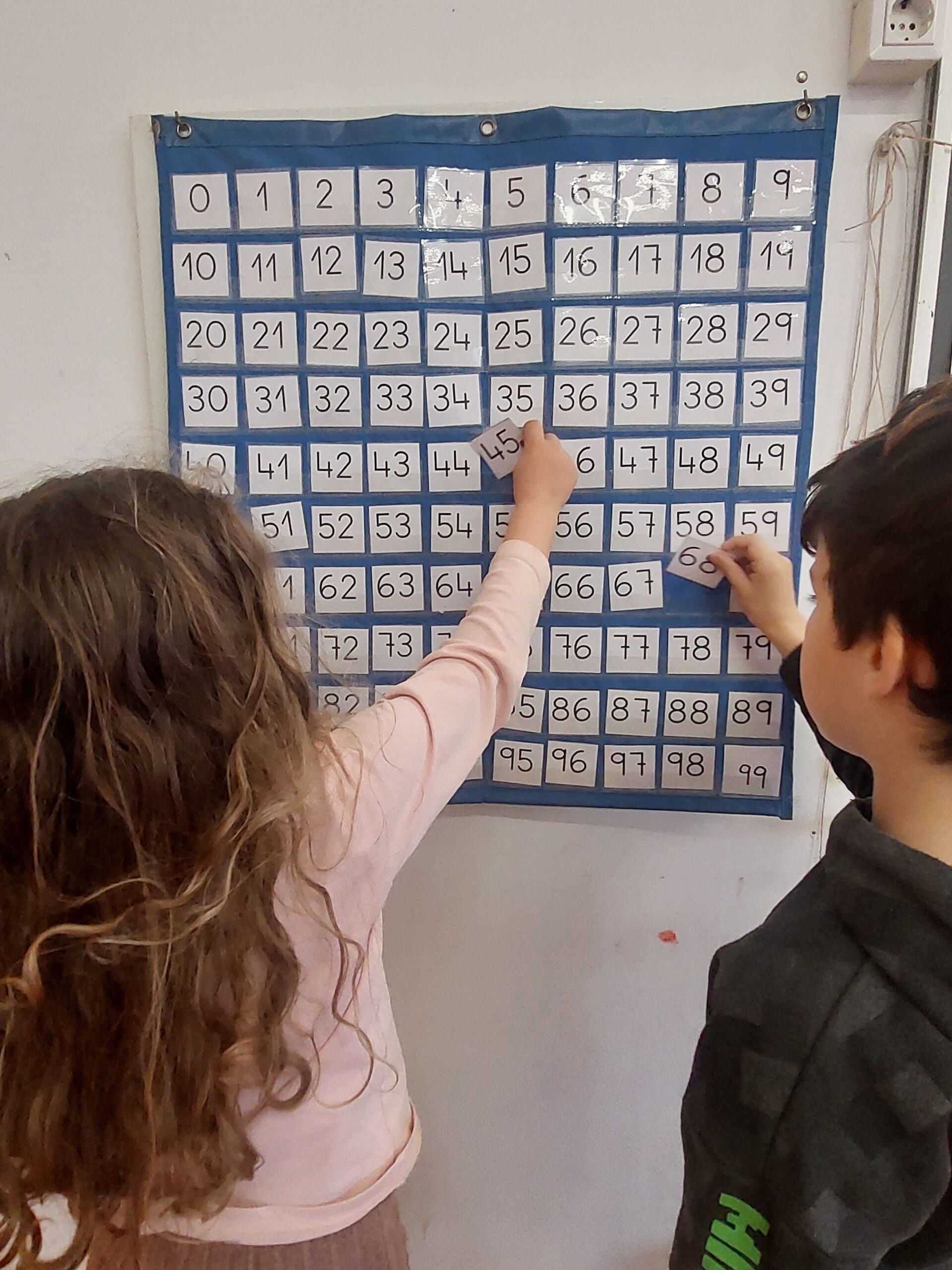 Entendre la vida amb les matemàtiques