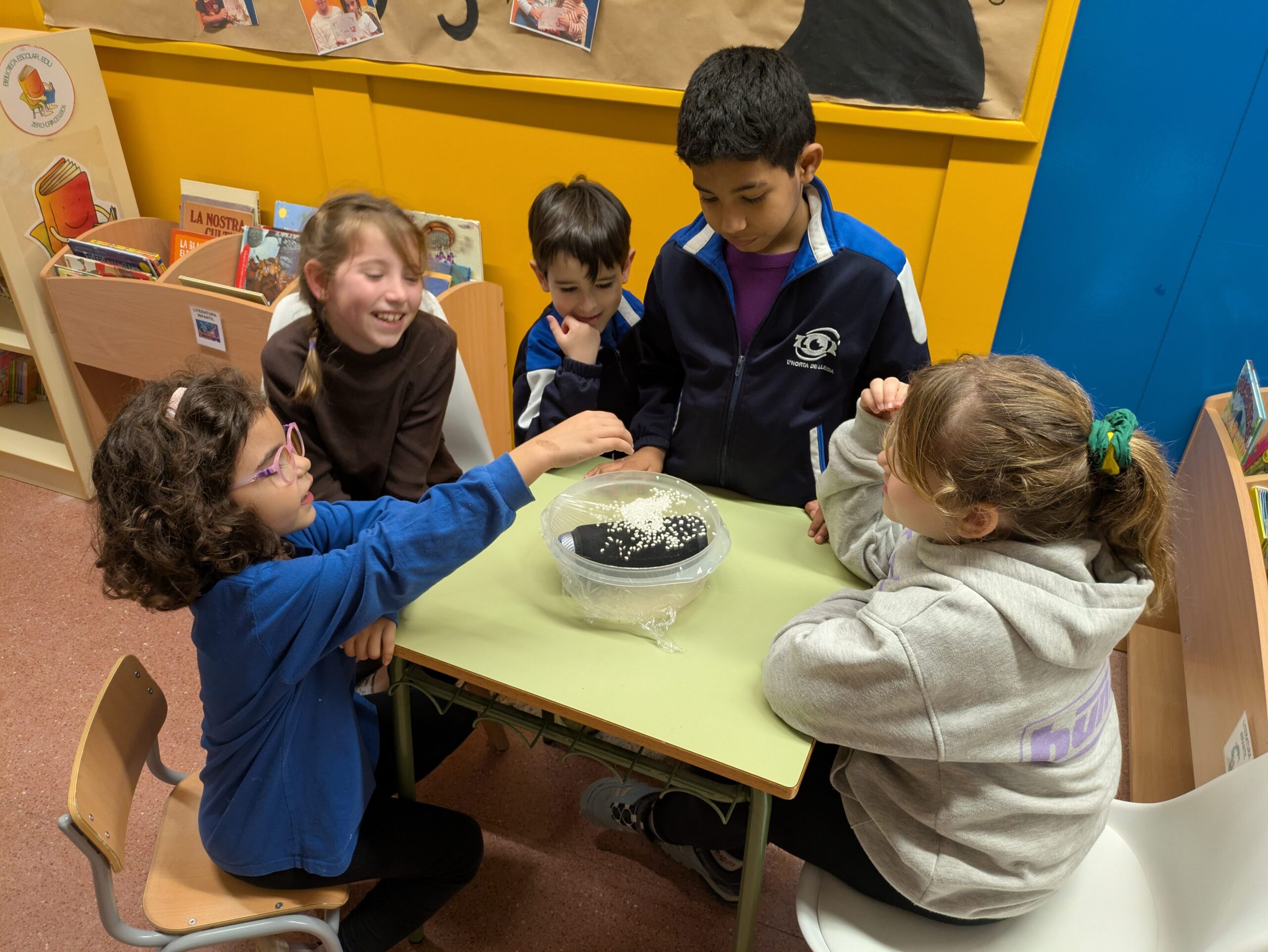 PXL_20260202_142930432