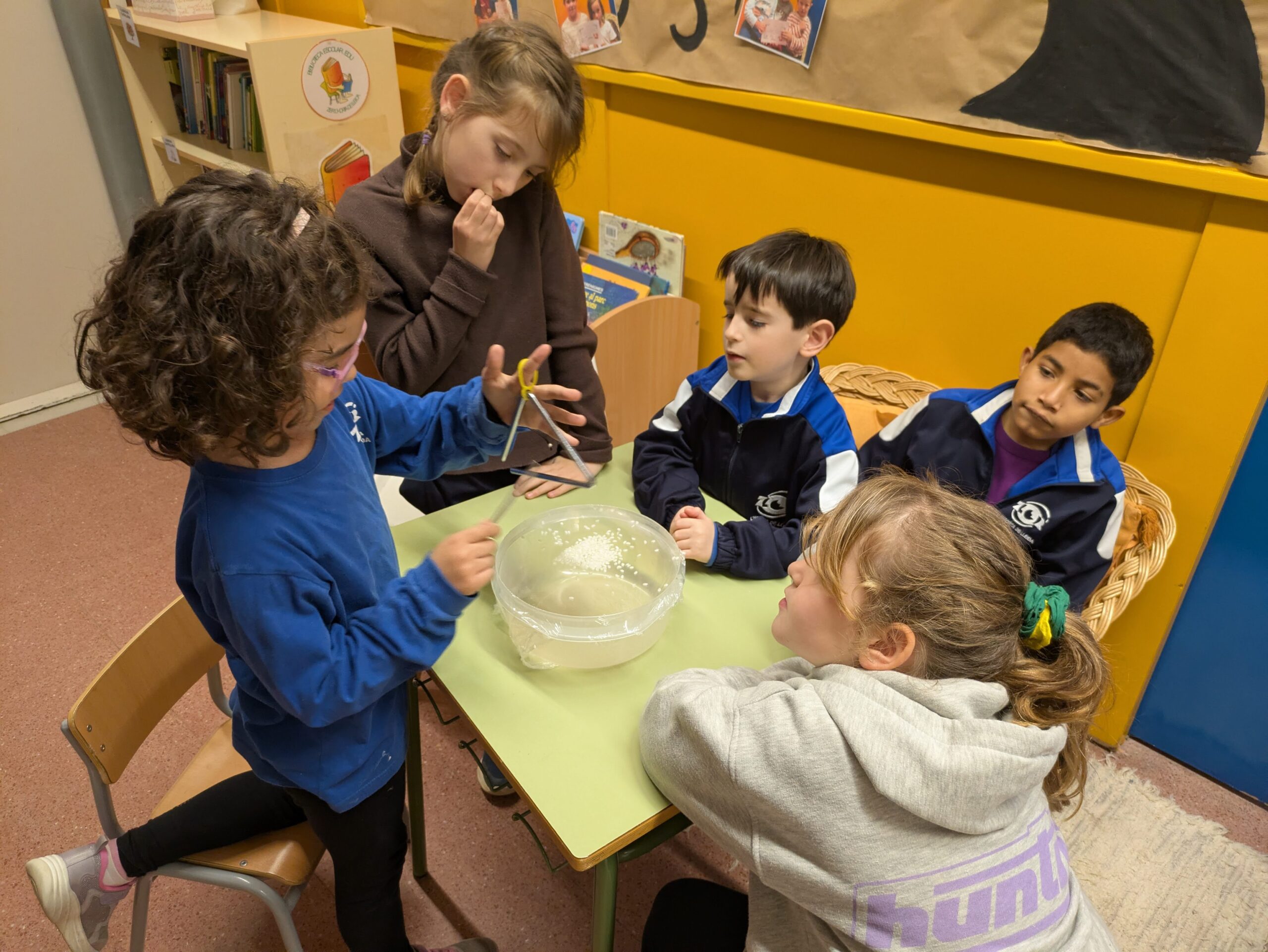 PXL_20260202_143949131