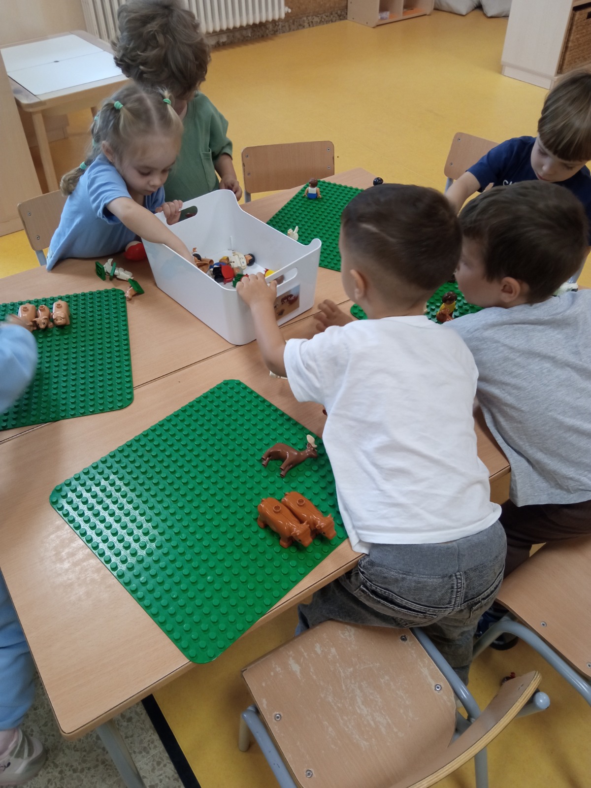 WhatsApp Image 2024-10-11 at 12.11.11 (3)