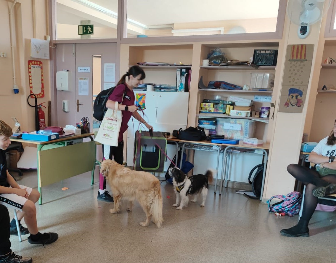 WhatsApp Image 2024-10-25 at 11.38.10