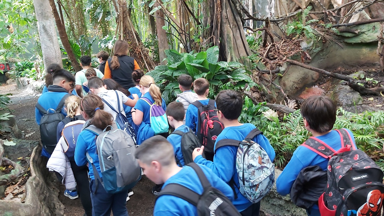 WhatsApp Image 2024-12-10 at 11.54.22 (3)