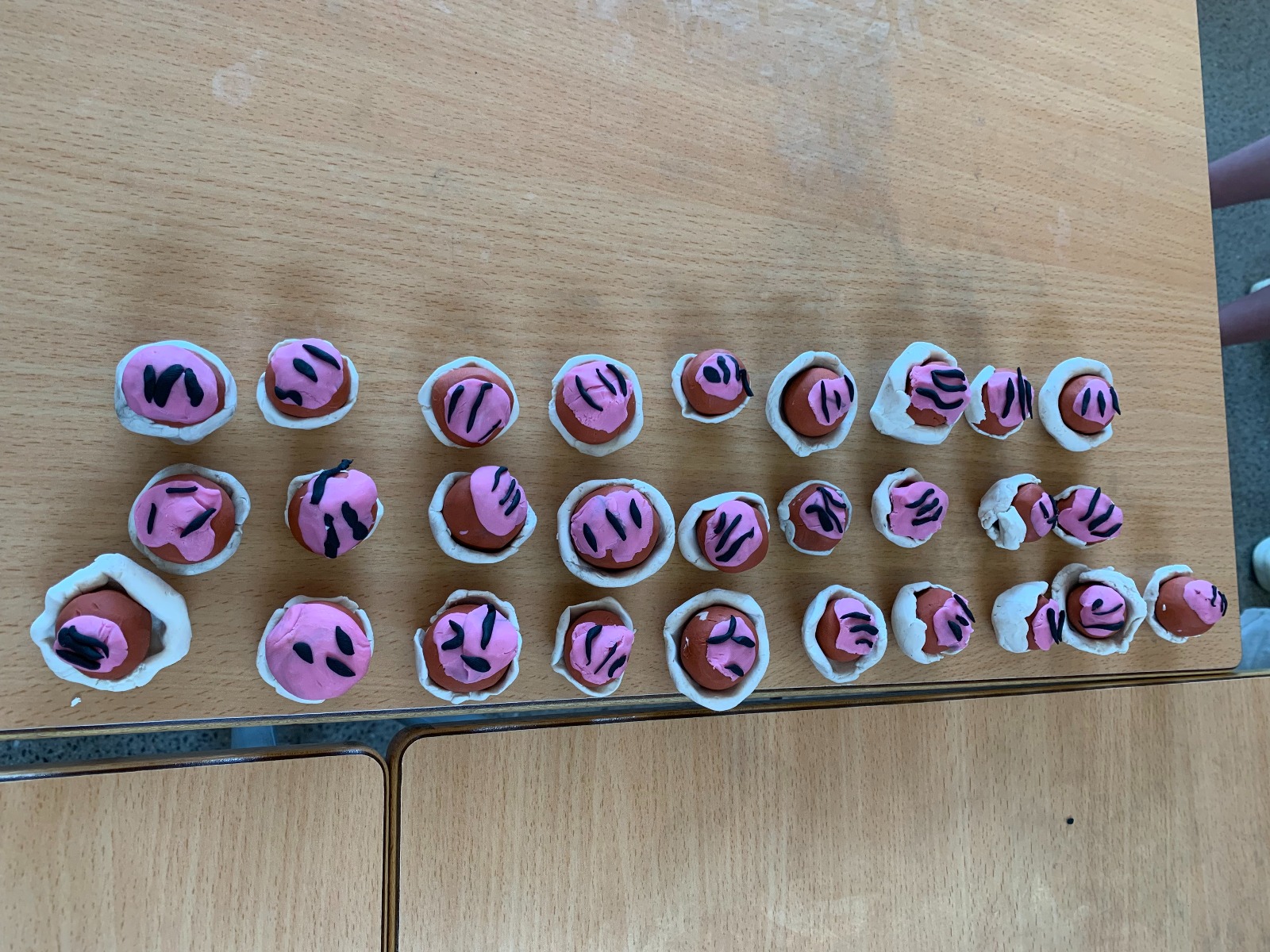 WhatsApp Image 2025-04-25 at 16.32.55 (7)