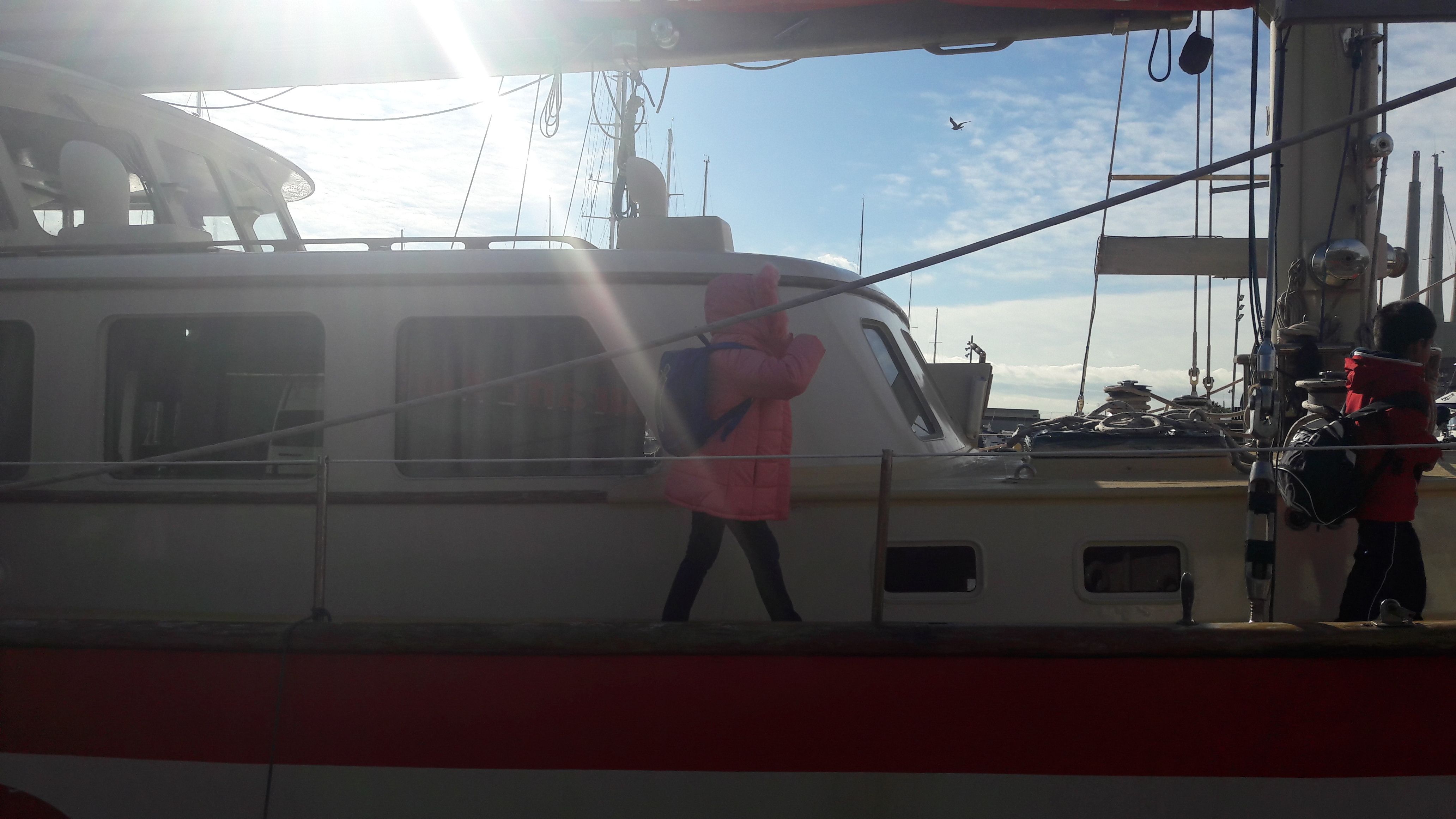 20190123_115003_result