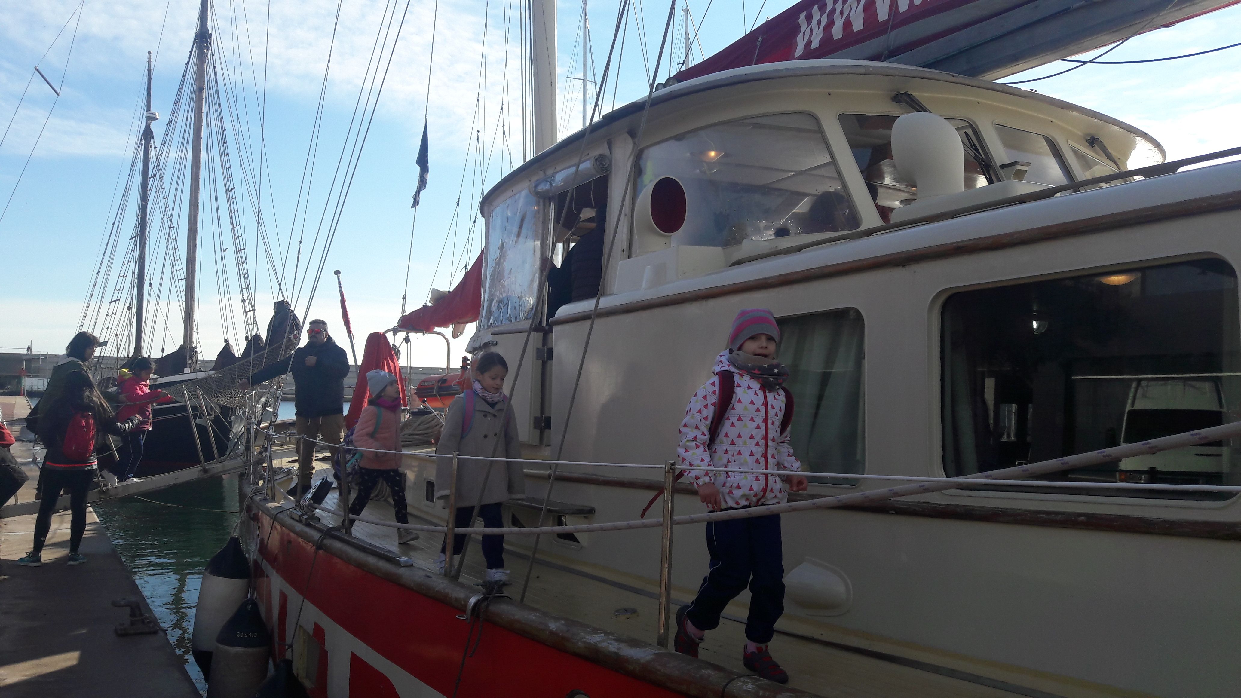 20190123_115030_result