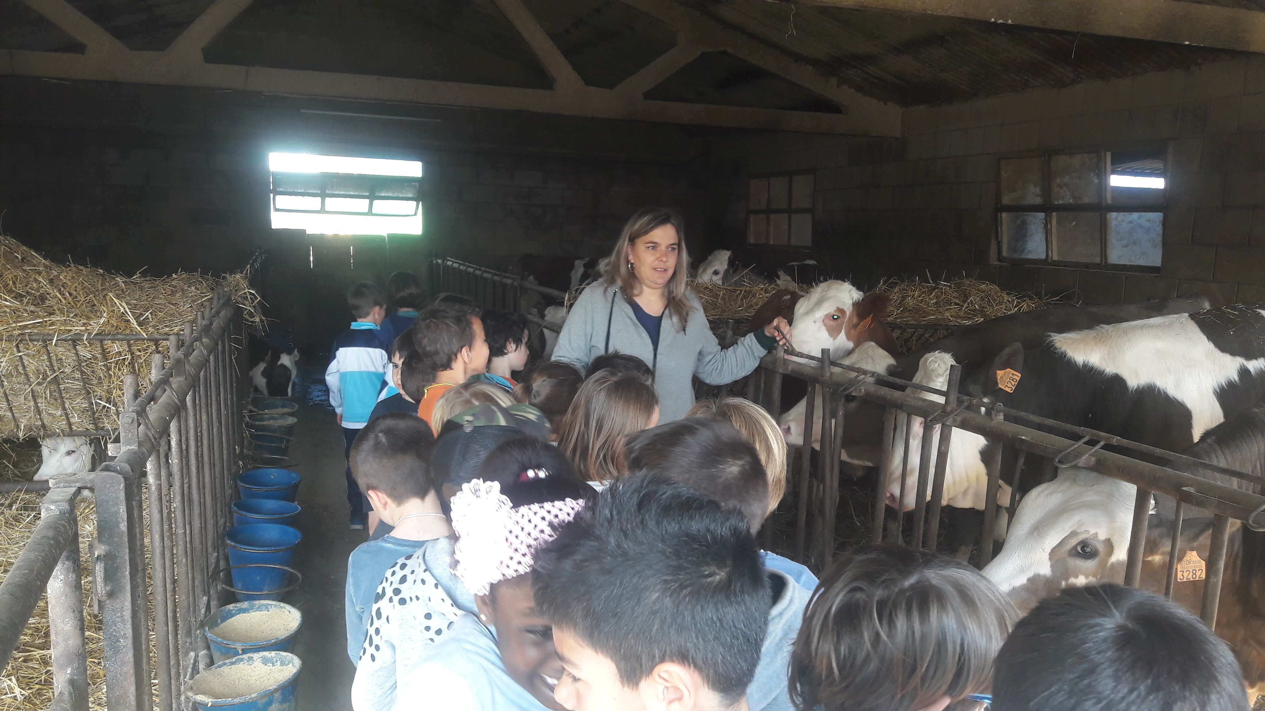 20190307_111010_result