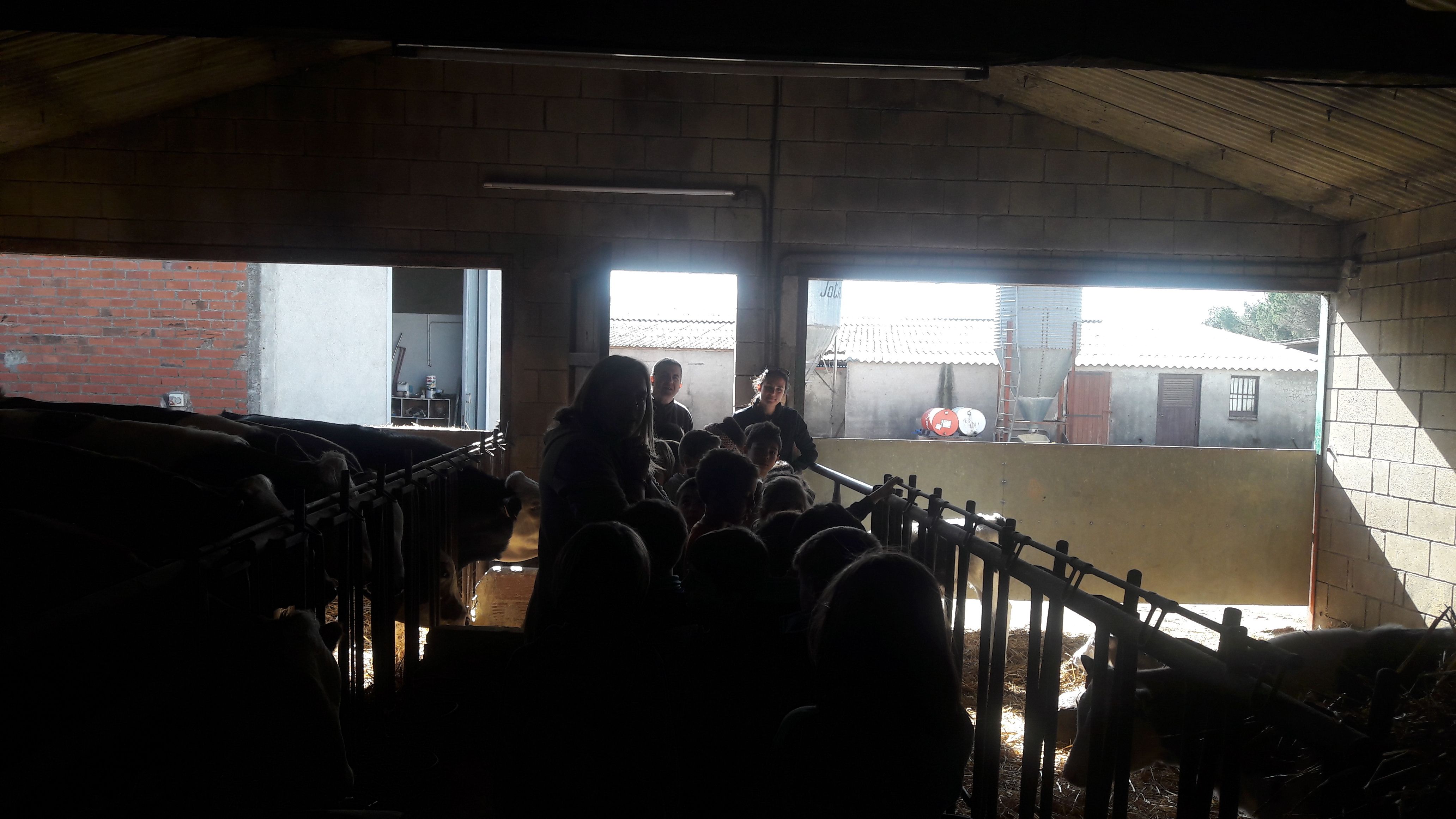 20190307_111049_result