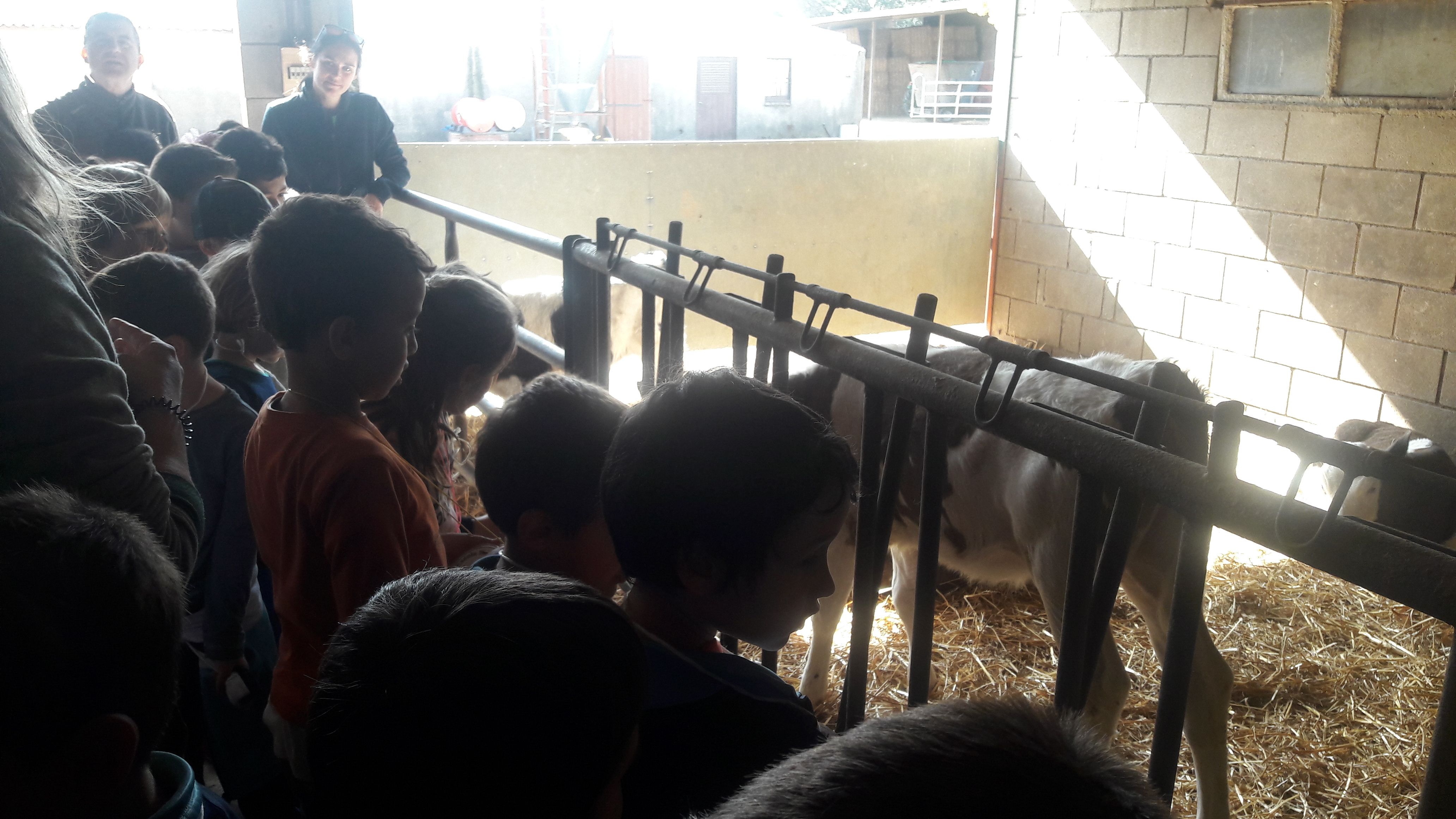 20190307_111058_result