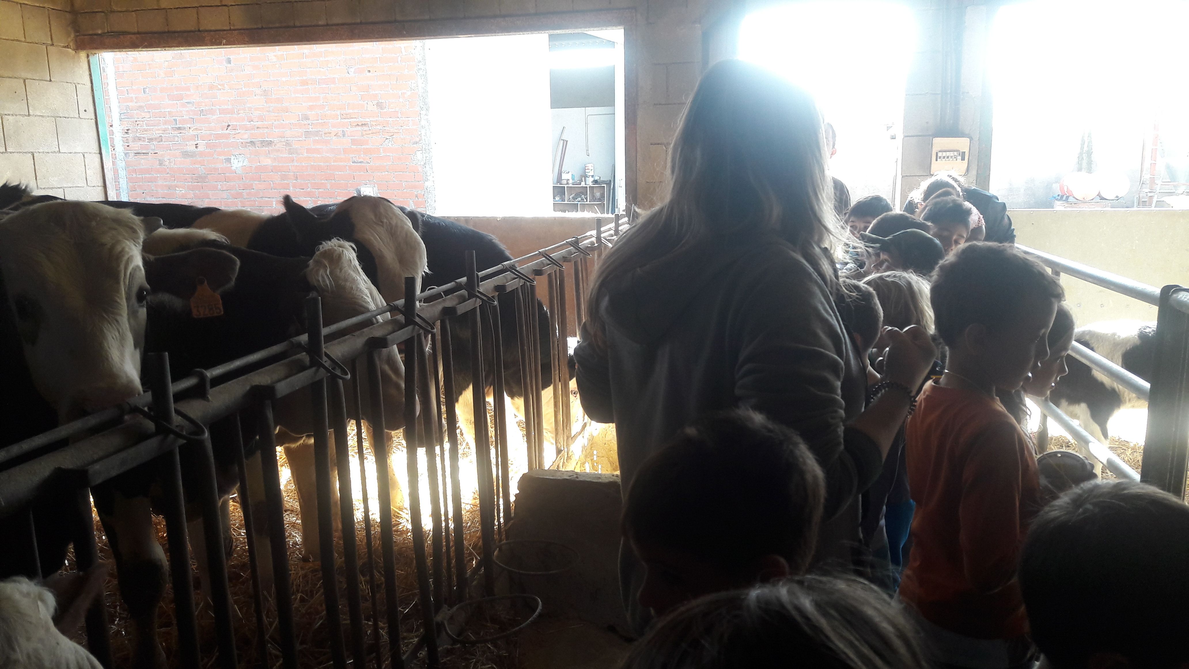 20190307_111101_result