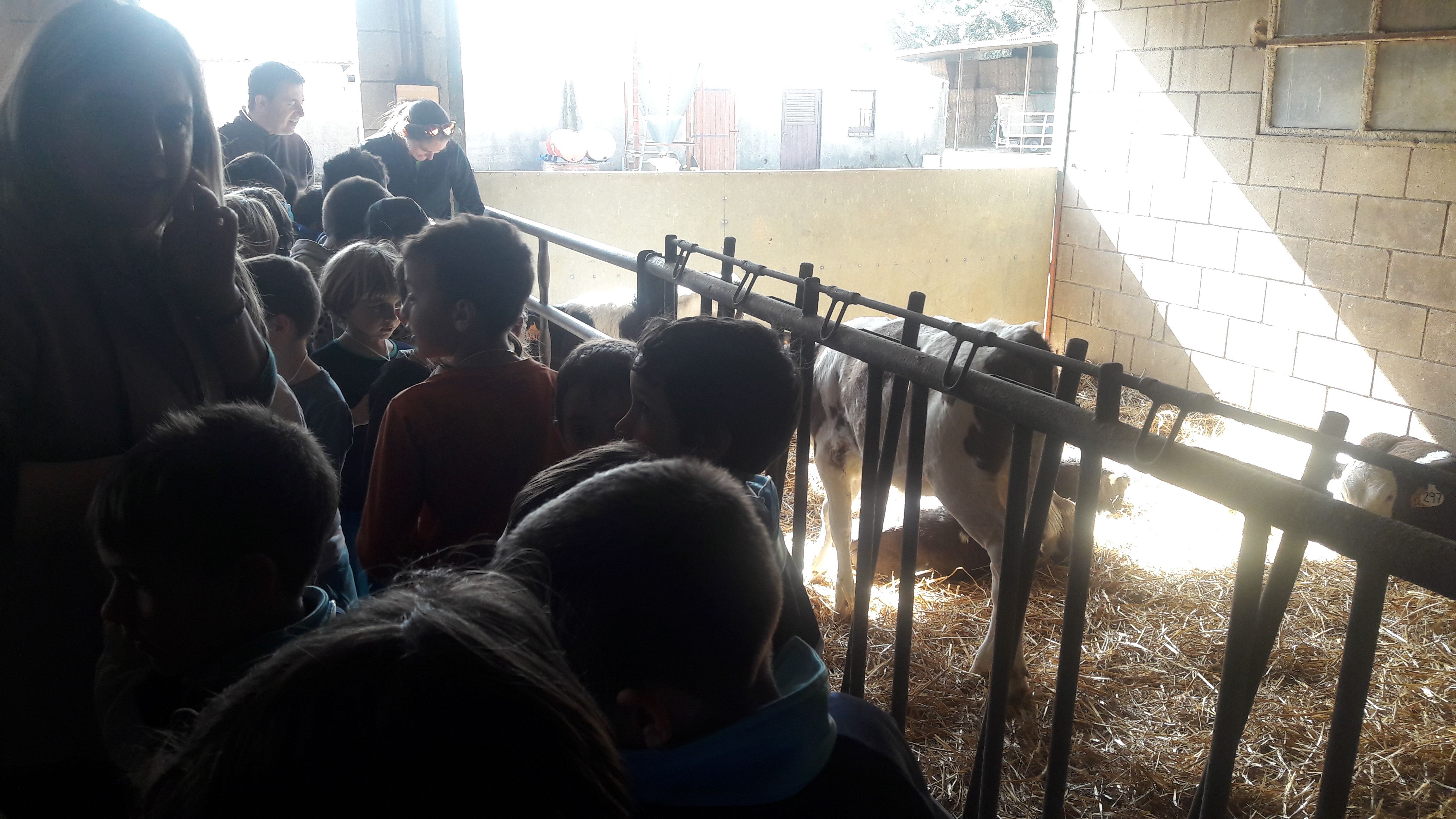 20190307_111105_result