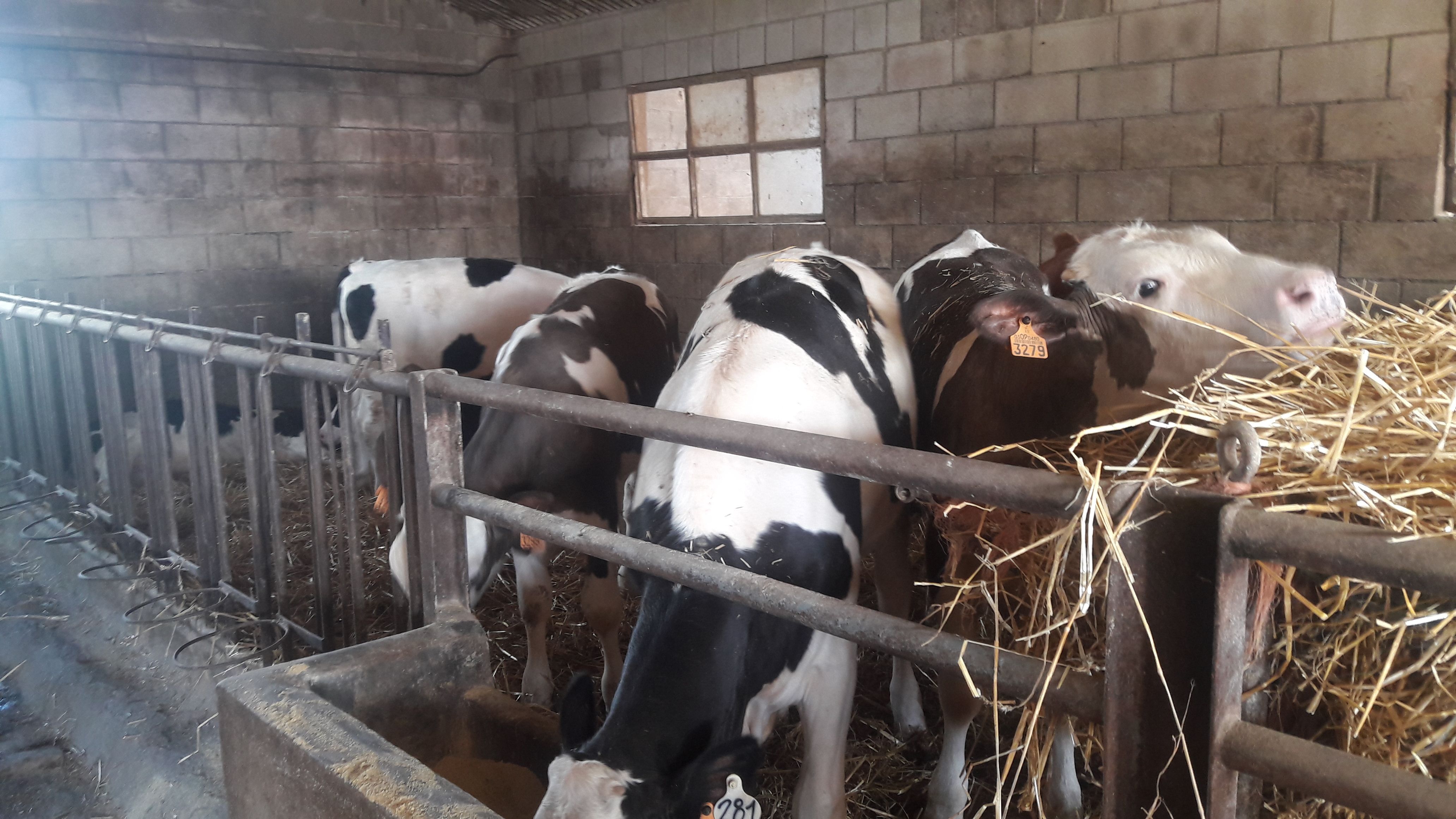 20190307_111113_result