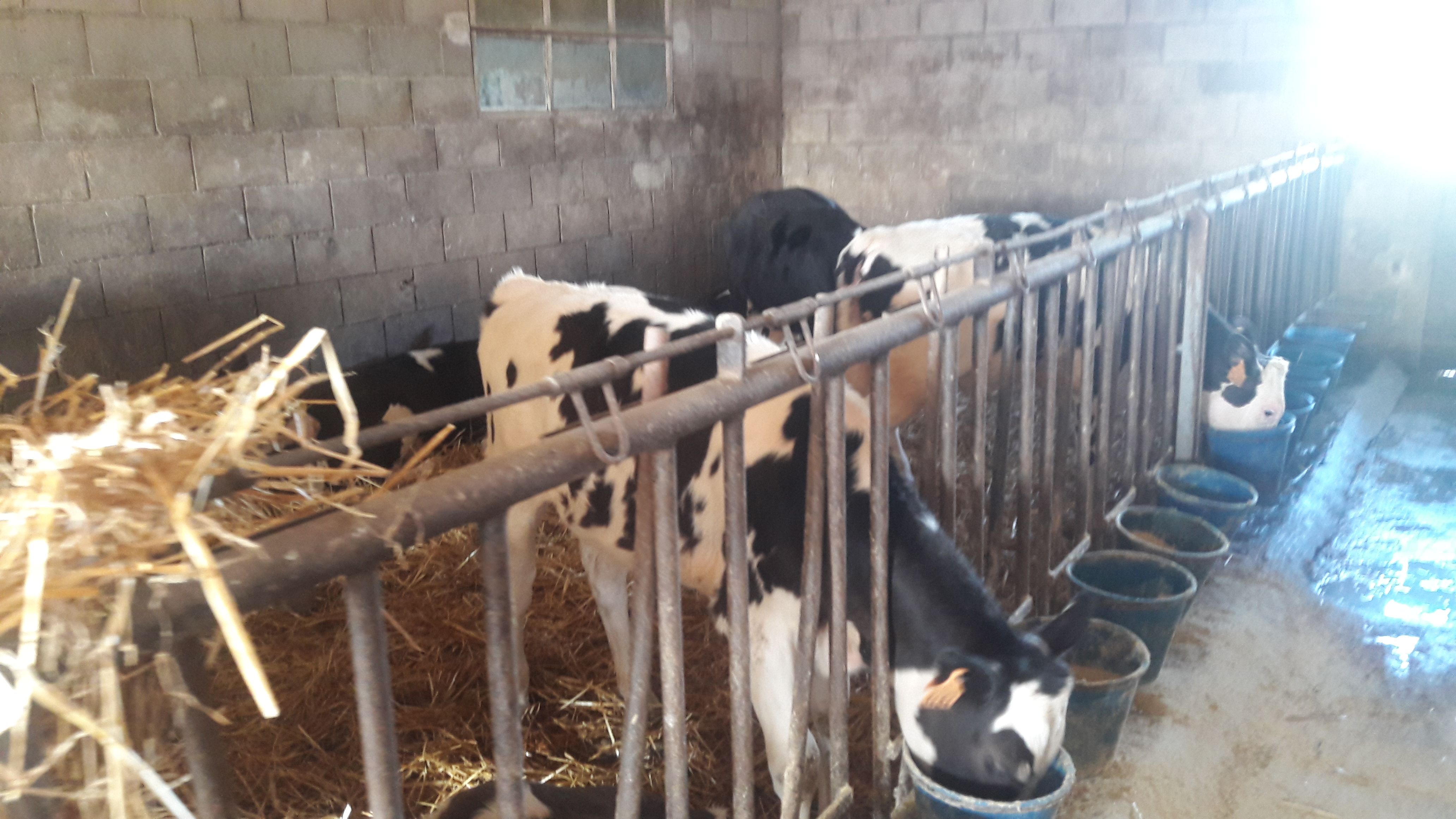 20190307_111116_result