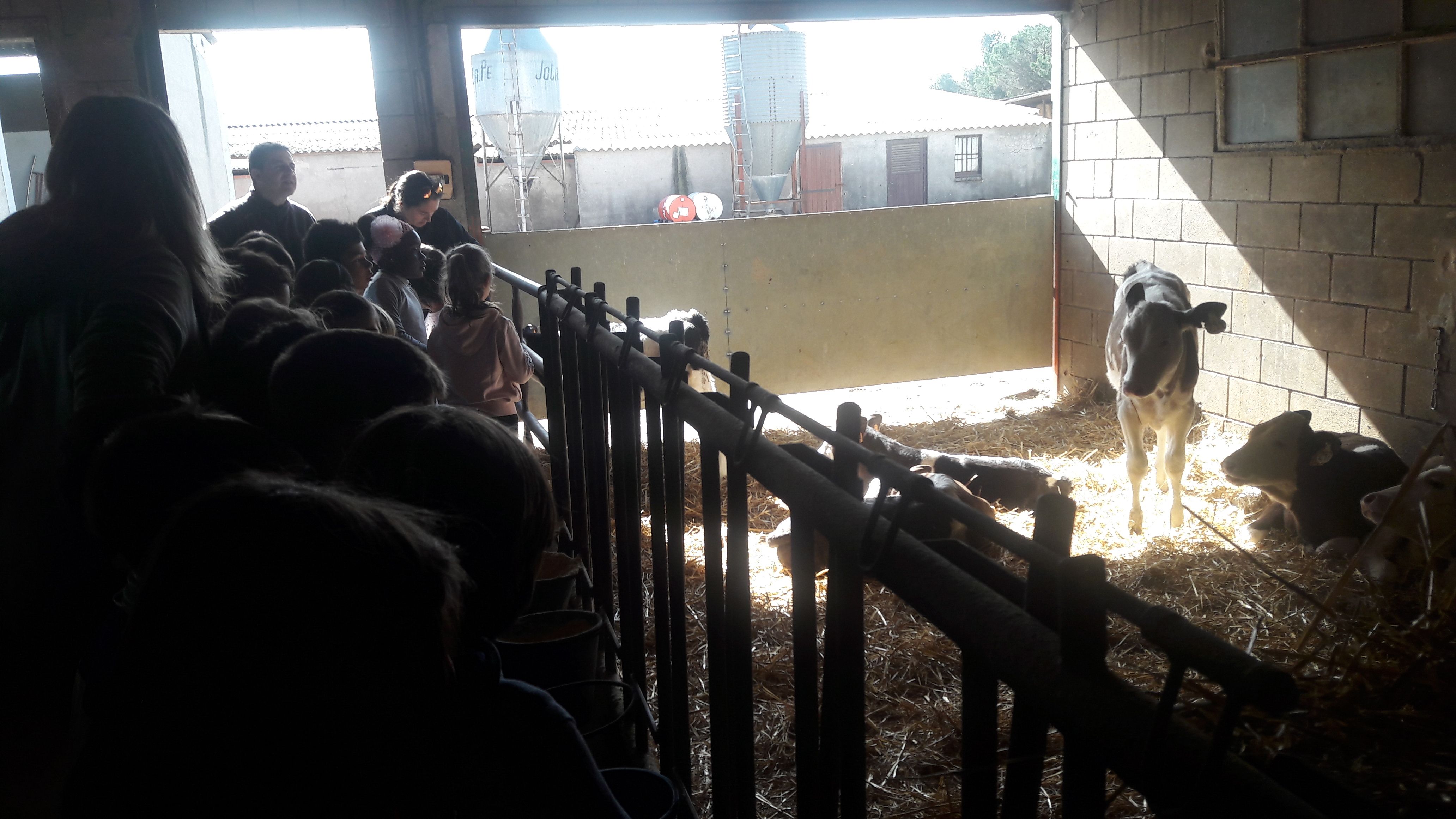 20190307_111129_result