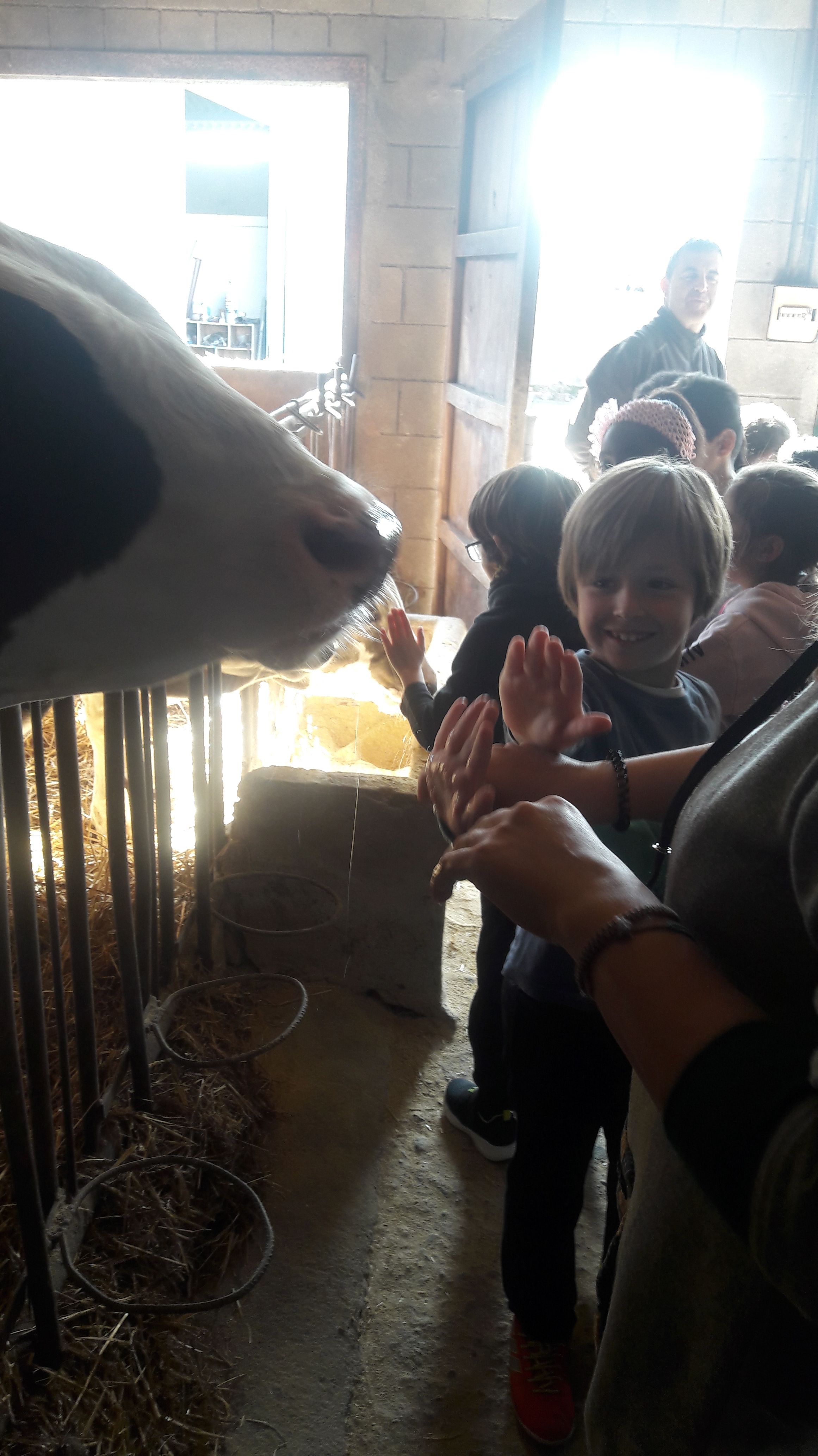 20190307_111447_result