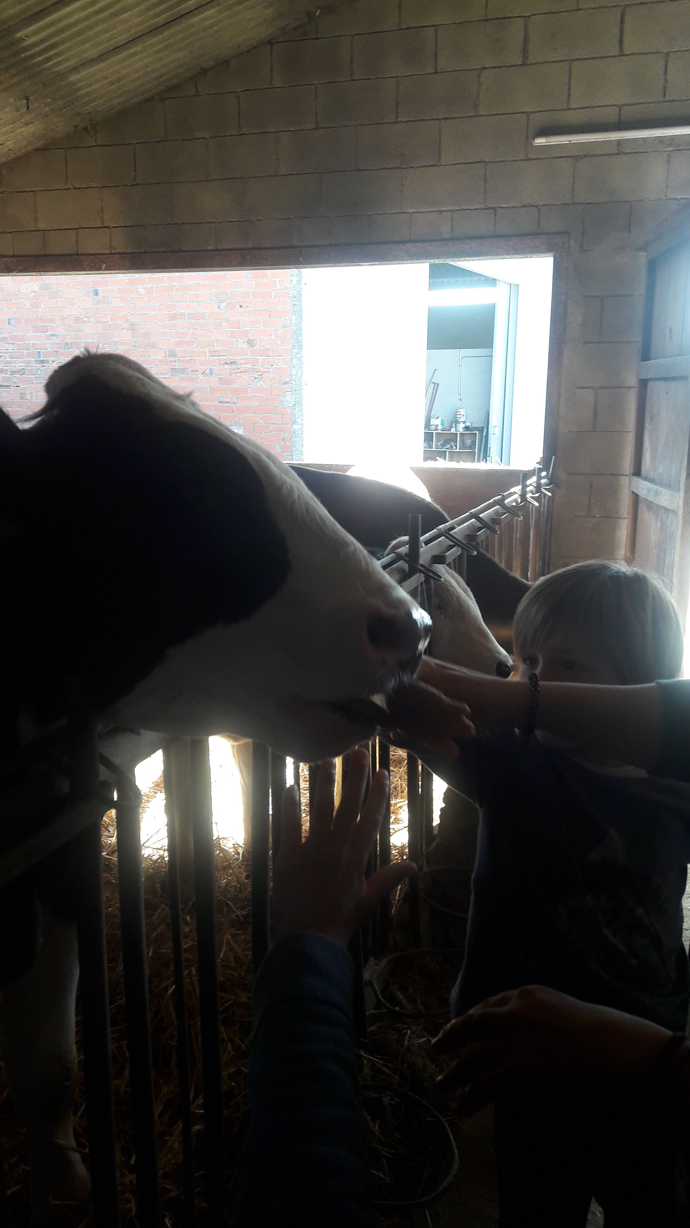 20190307_111453_result