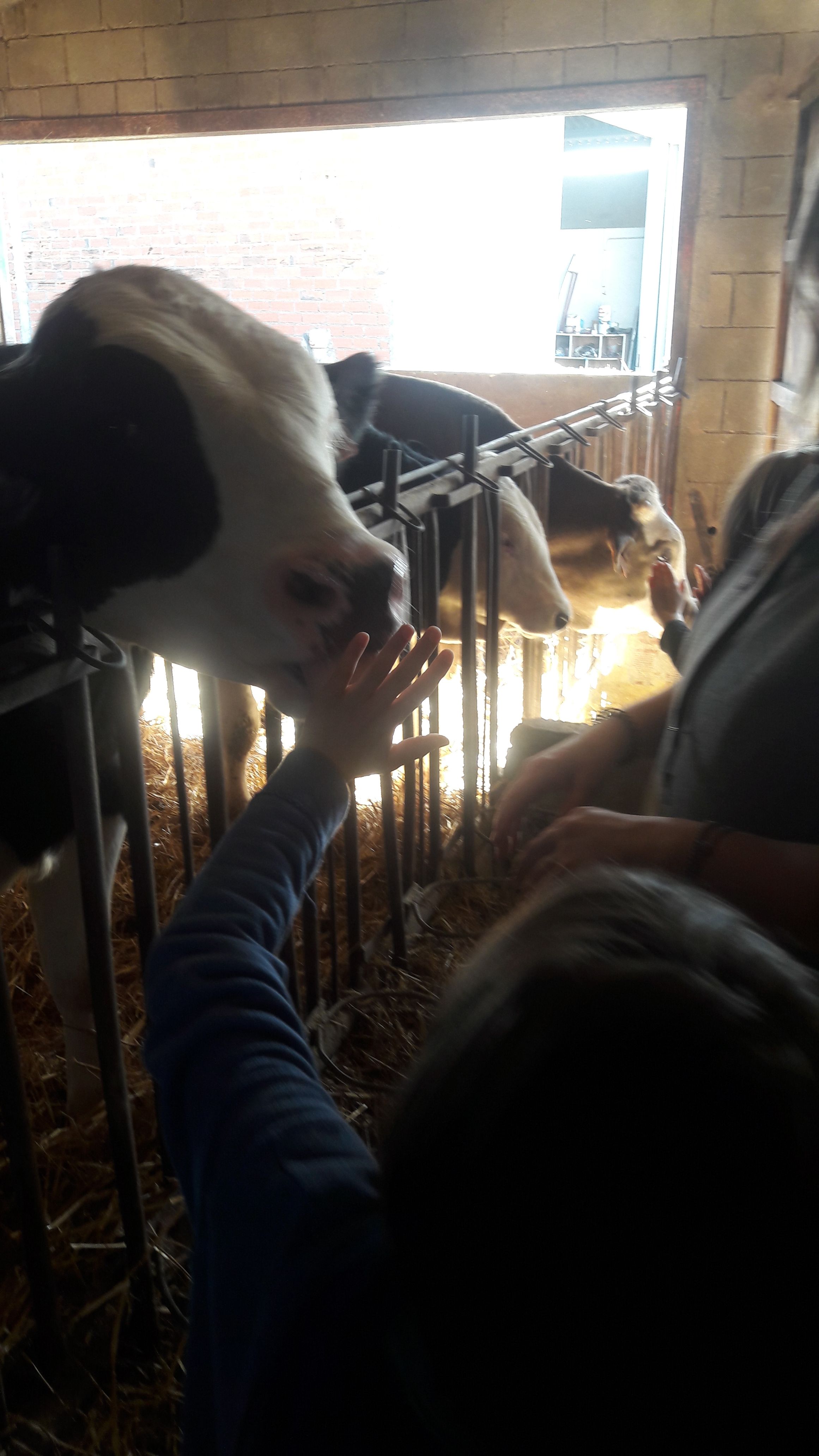 20190307_111456_result