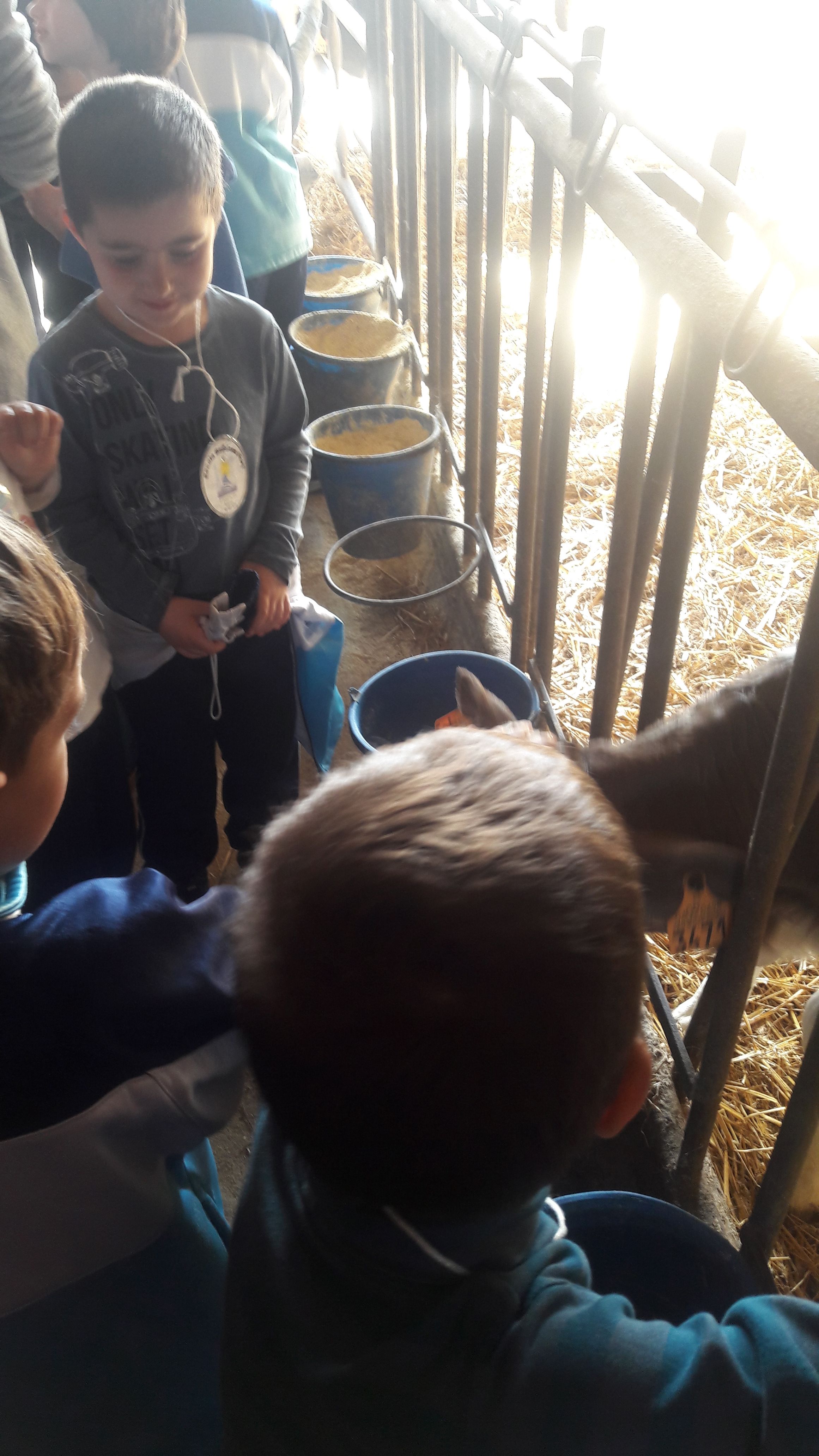 20190307_111518_result