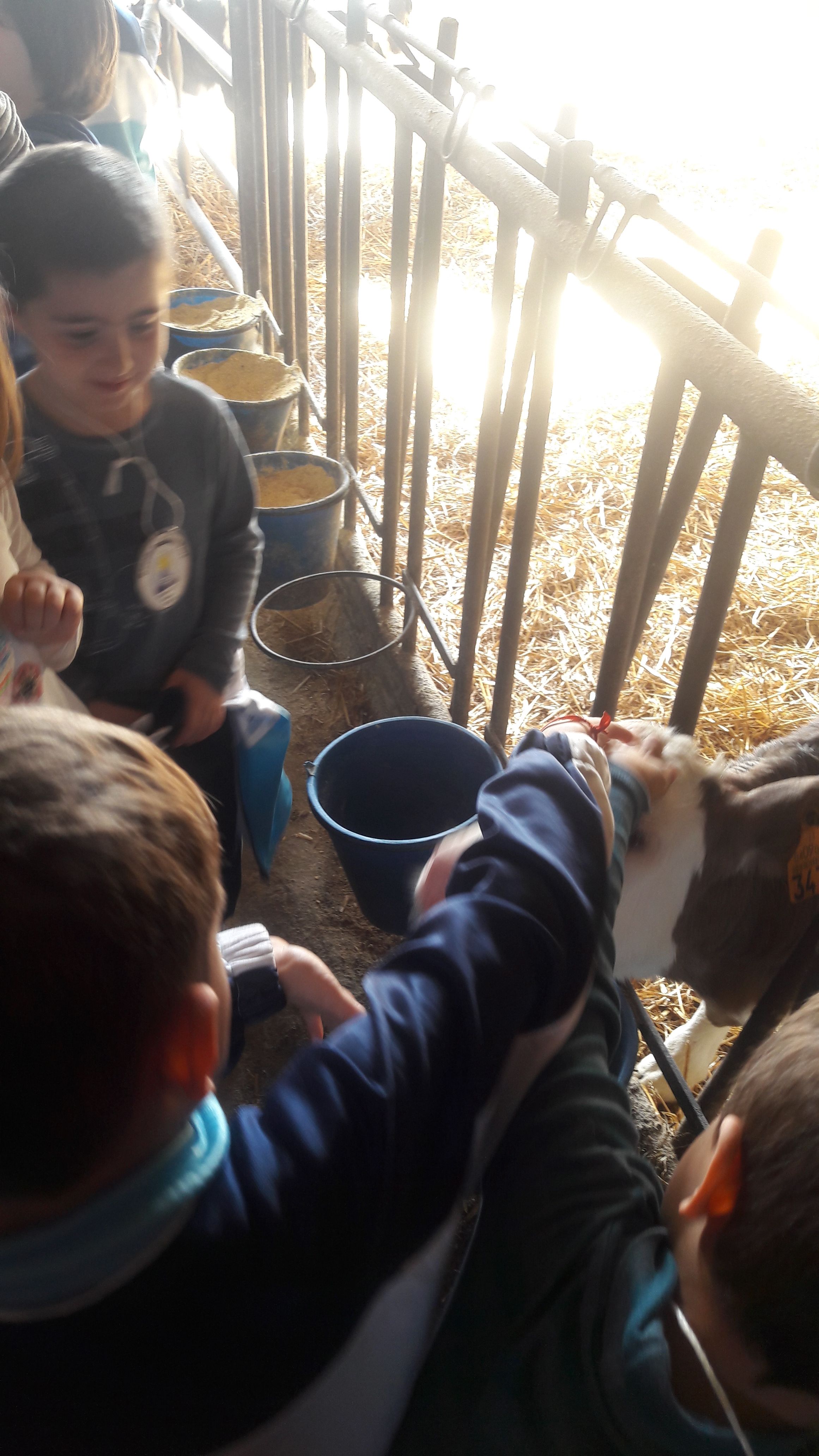 20190307_111520_result